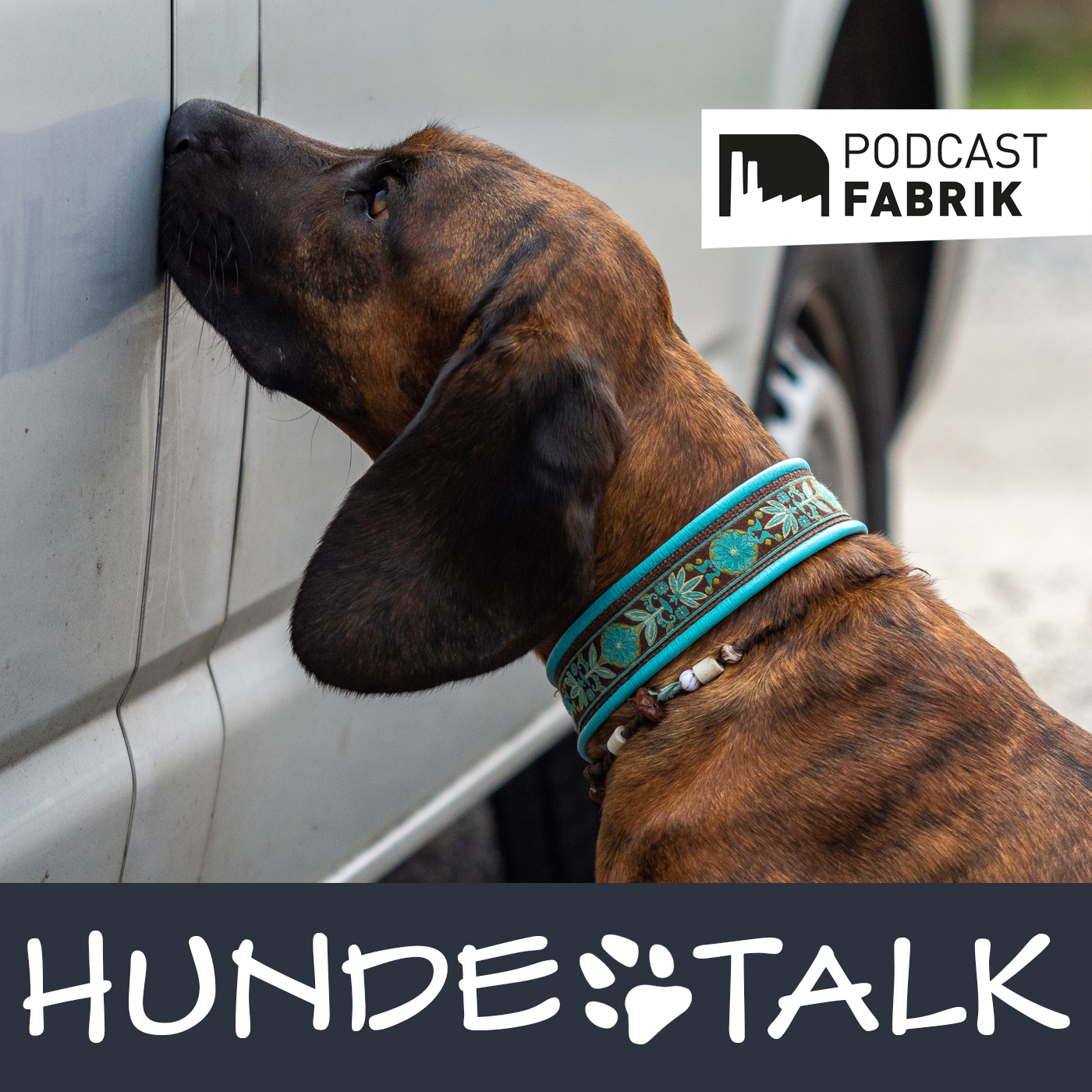 HUNDETALK - Dein Hunderunde-Podcast