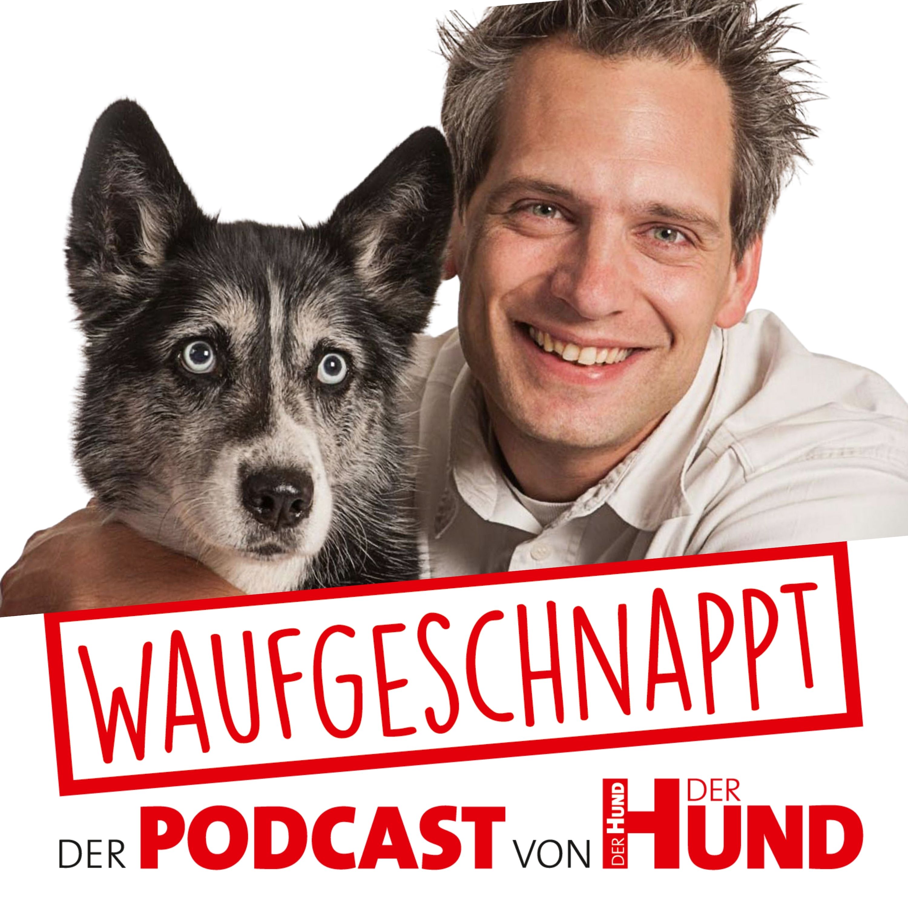 Waufgeschnappt - der Podcast von DER HUND