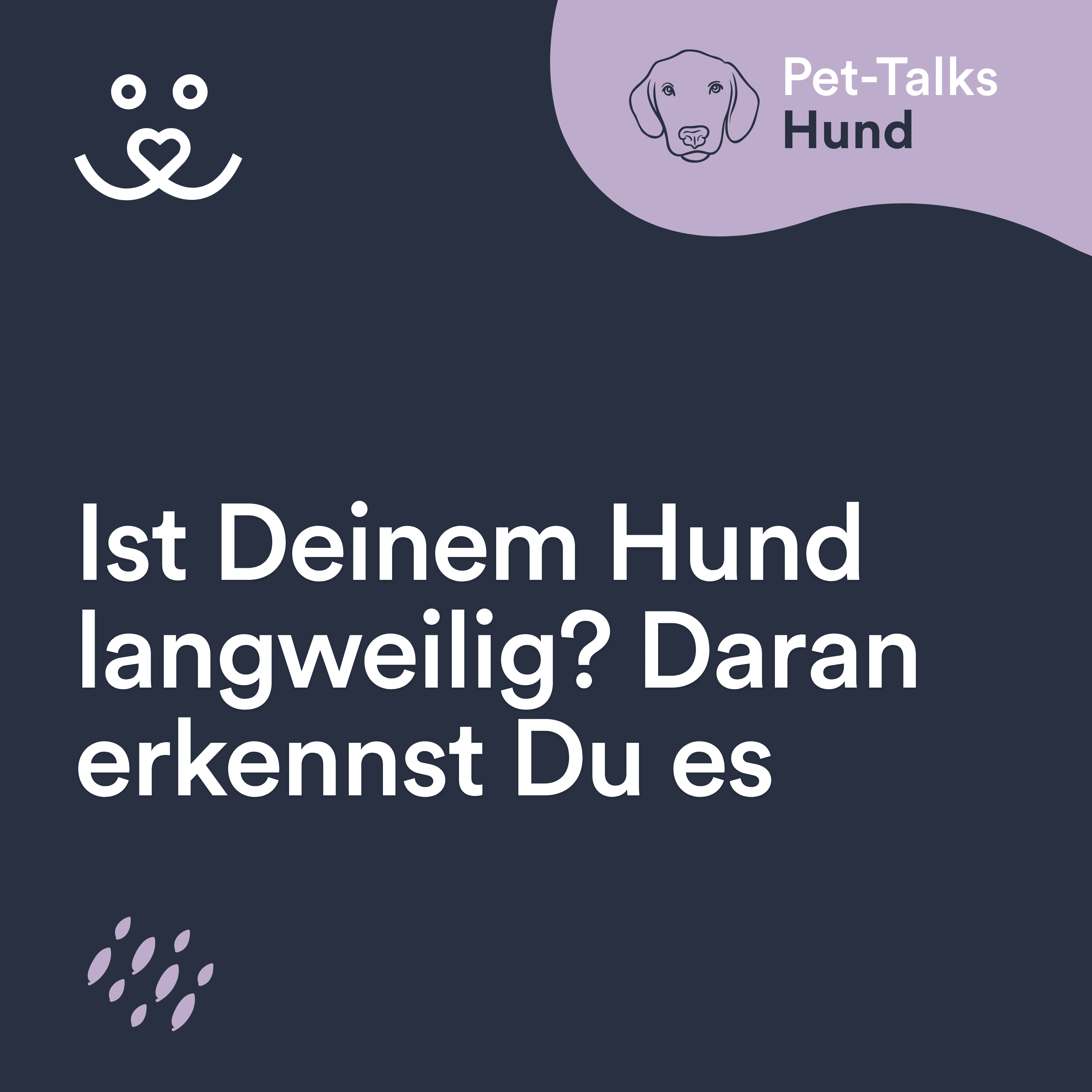 Ist Deinem Hund langweilig? An diesen Anzeichen erkennst Du es