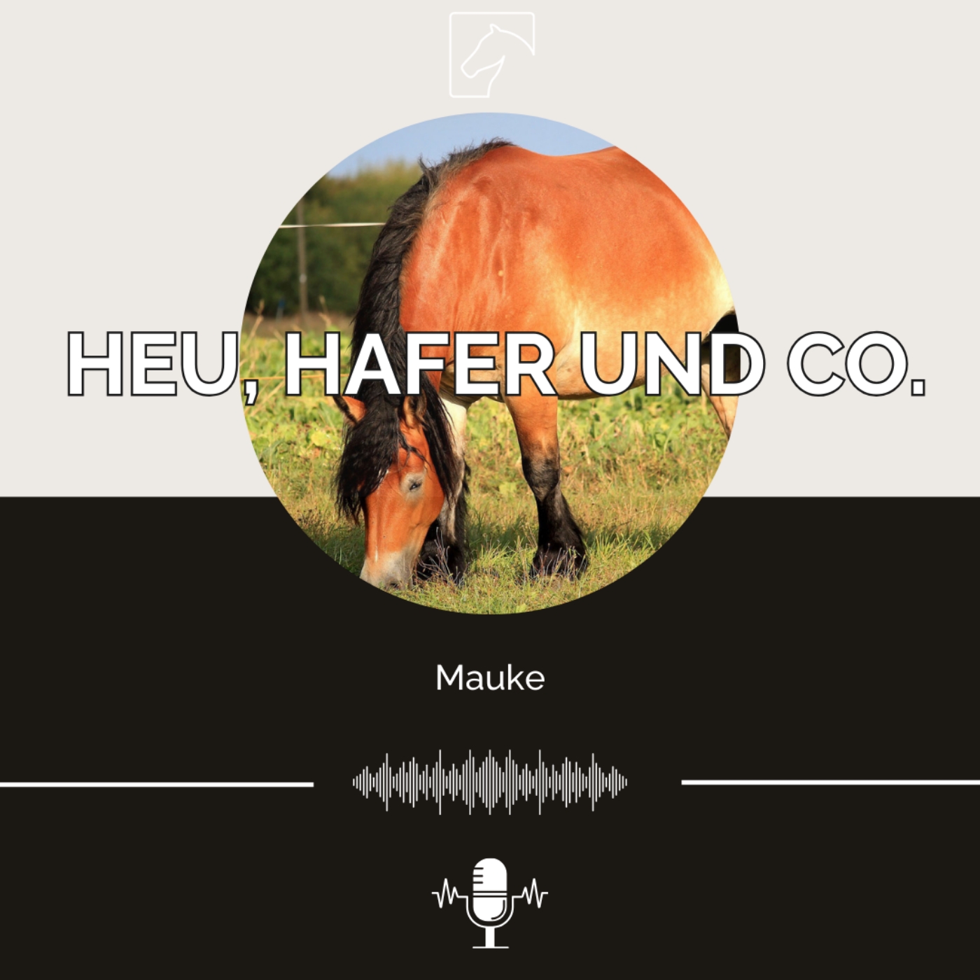Heu, Hafer & Co: Der Pferdefutter-Podcast