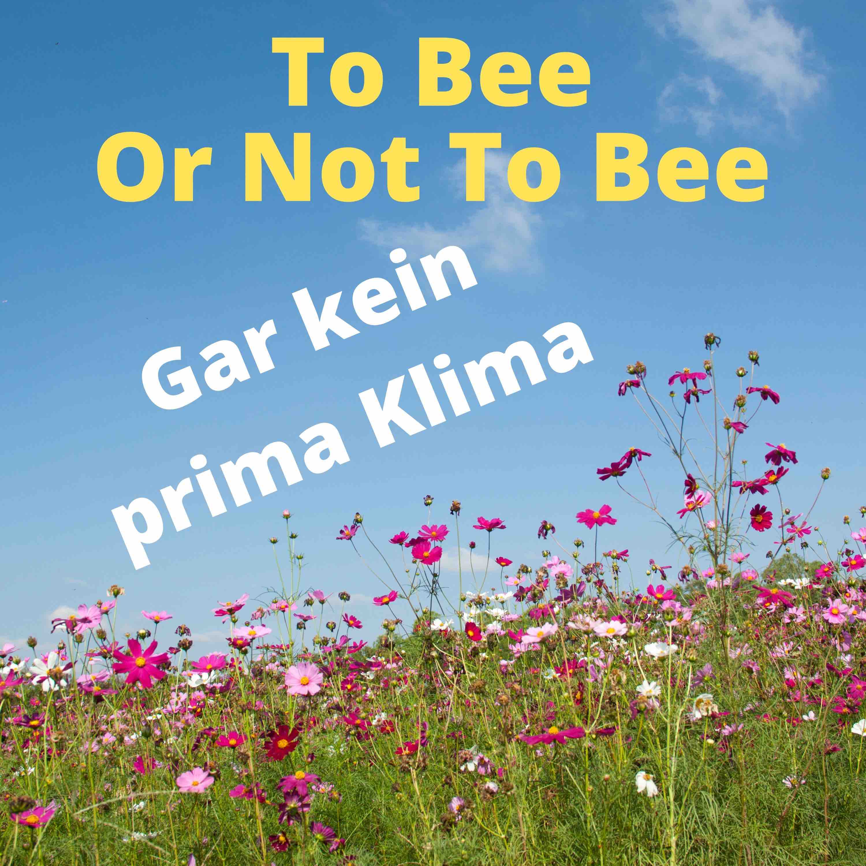 To Bee Or Not To Bee #7