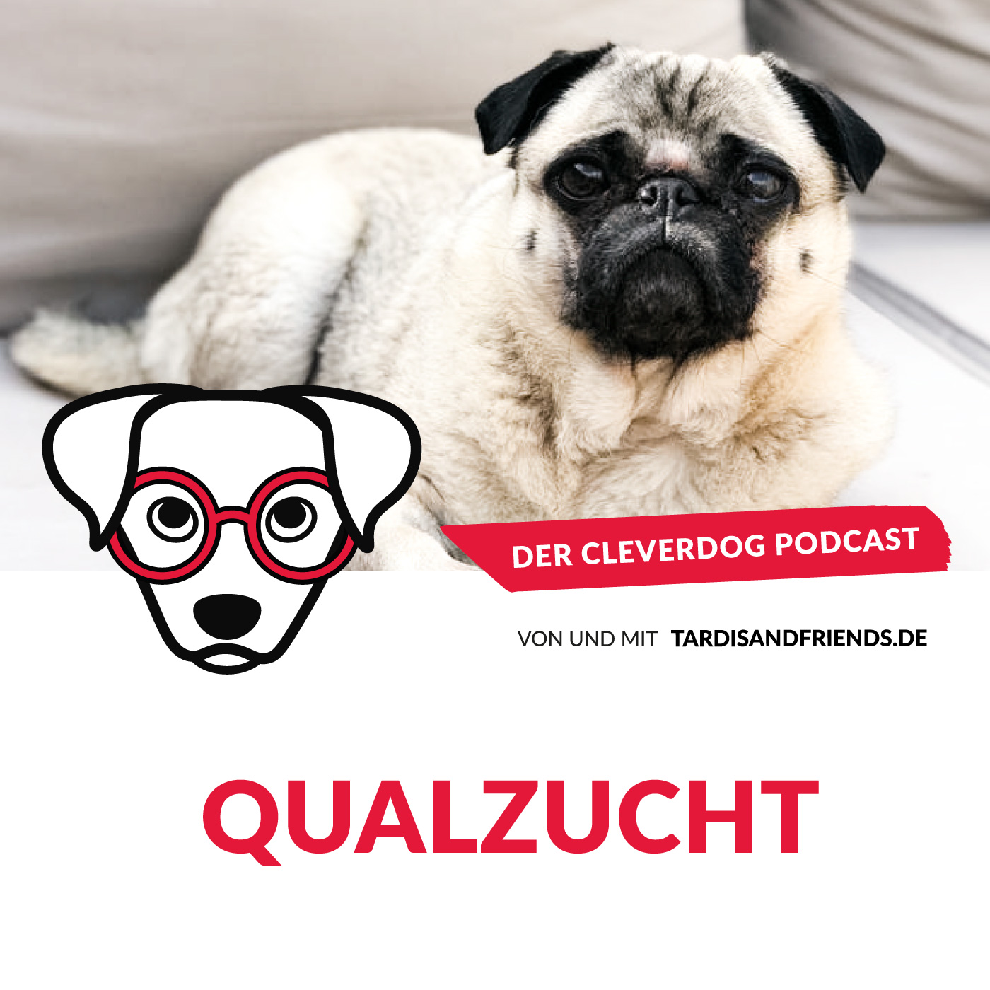 Der Cleverdog Podcast – mehr Wissen rund um den Hund!