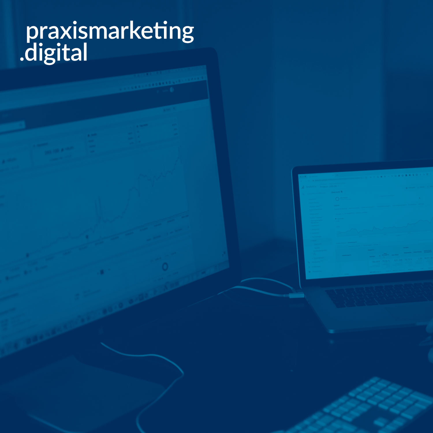 praxismarketing.digital