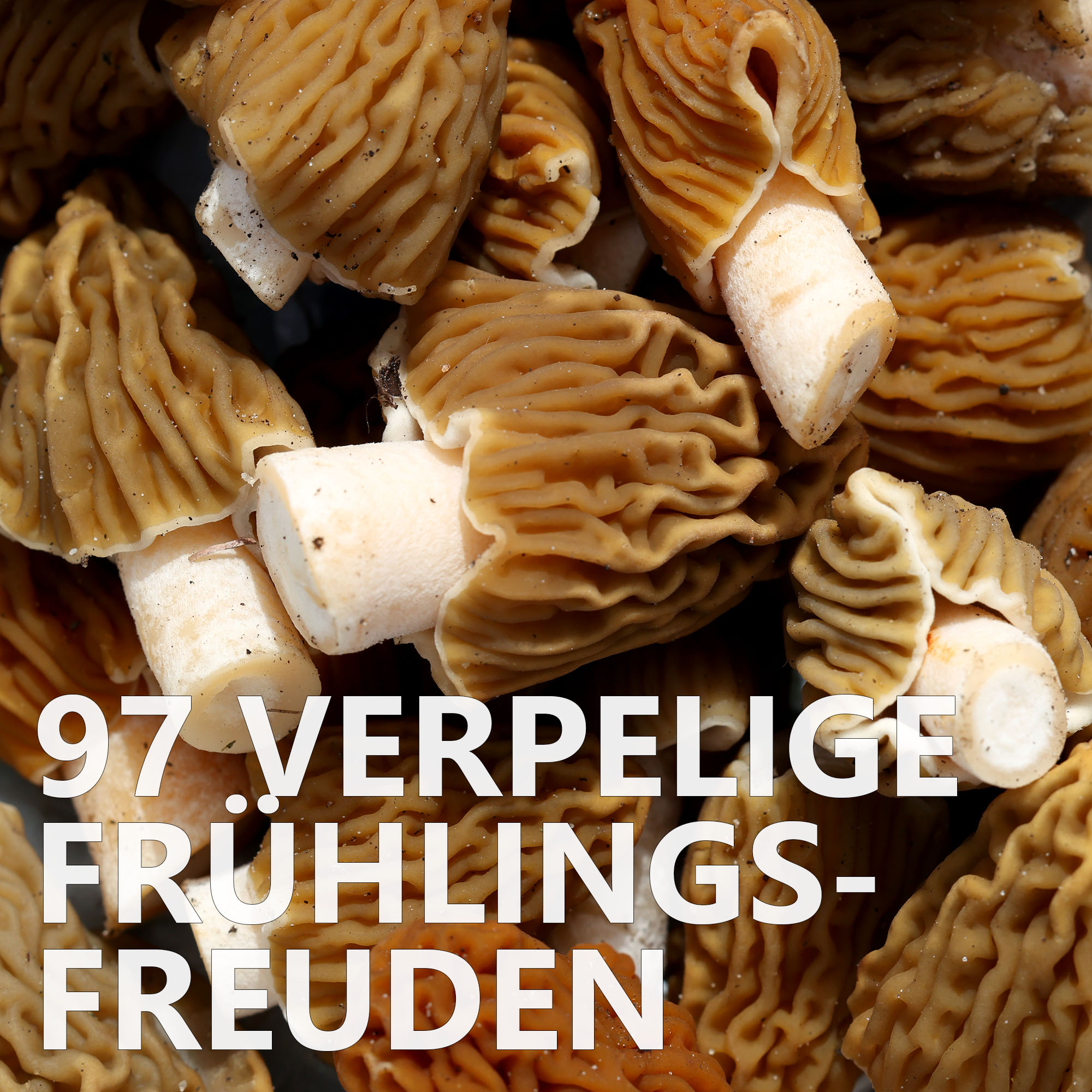#97 Verpelige Frühlingsfreuden