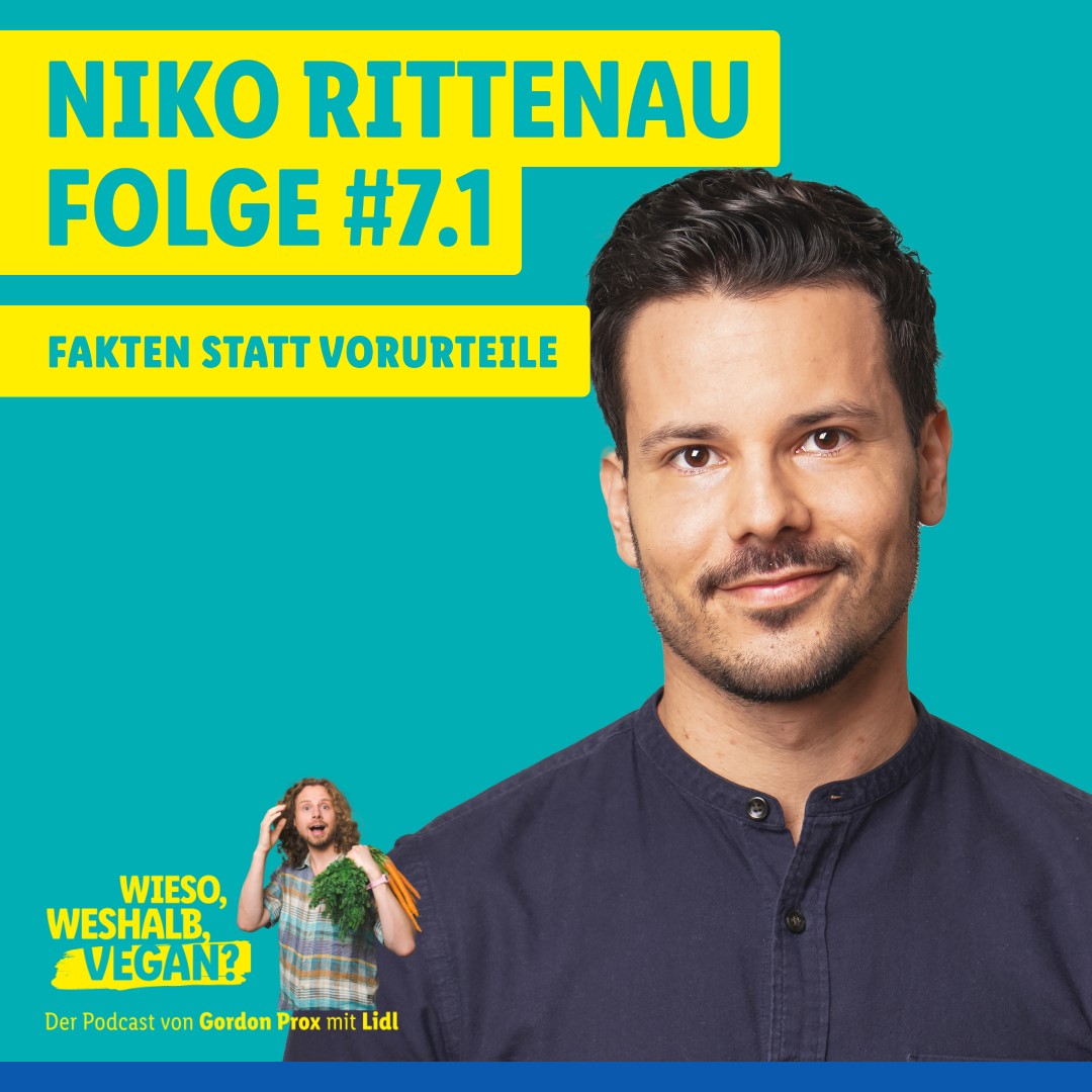 #7.1 Den Regenbogen rauf und runter – Niko Rittenau​