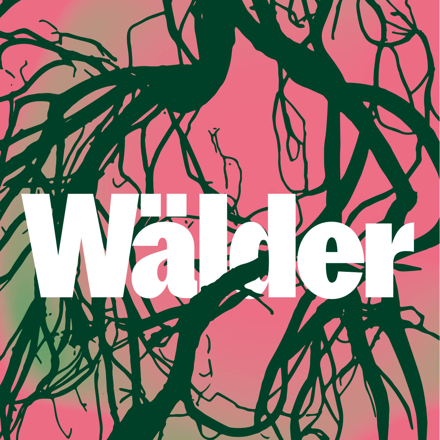 Art‘n‘Vielfalt. Der Podcast für Kunst und Natur des Museums Sinclair-Haus