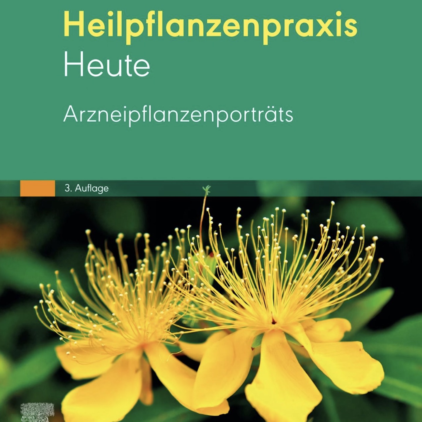 Draussentester – Das Magazin für Entdecker und Neugierige