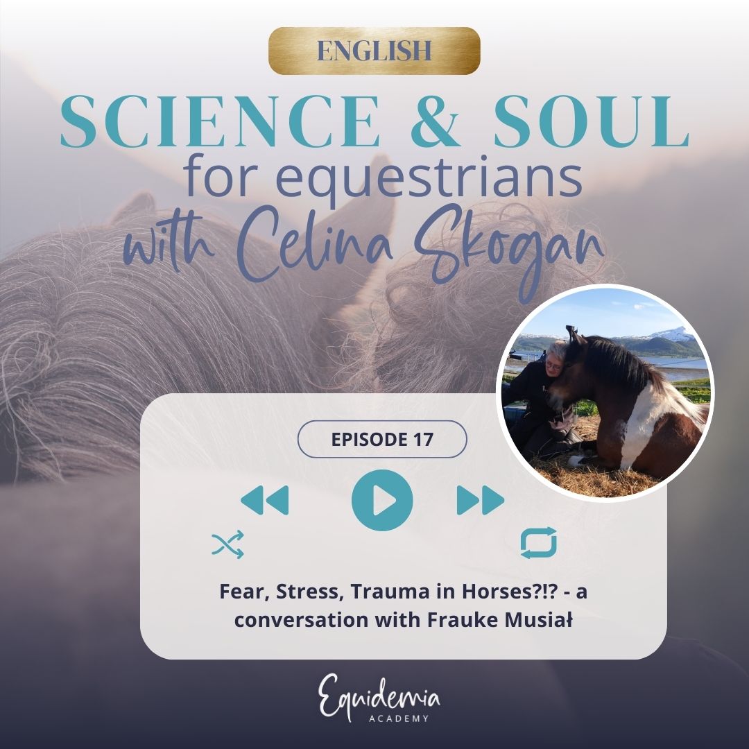 Horsefriends international