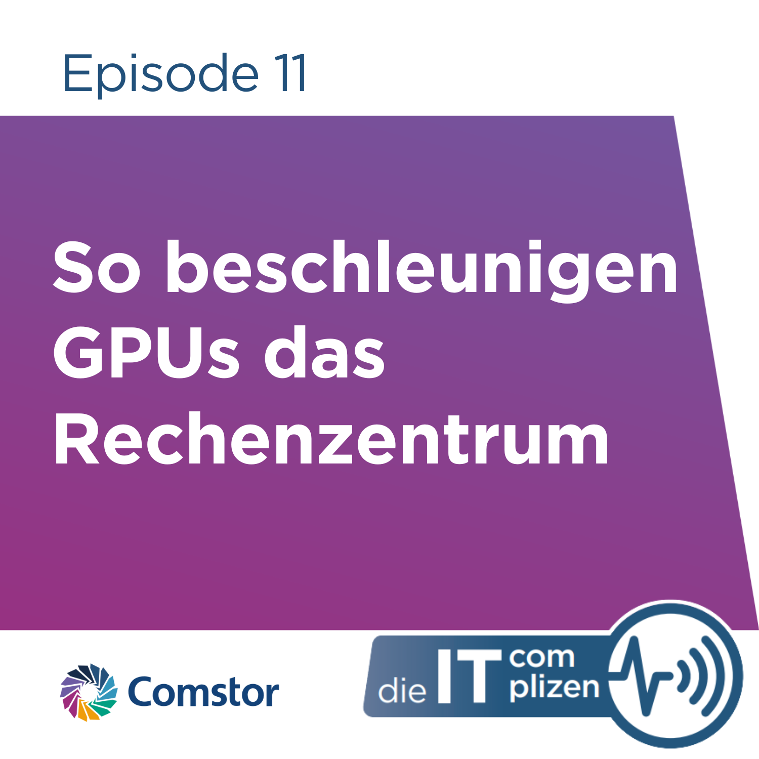 Comstor - Die IT Complizen