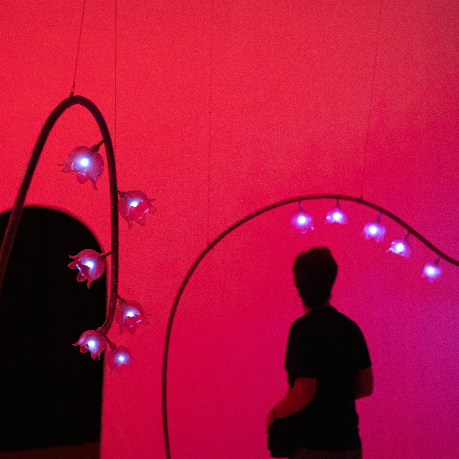 Im Kunstraum