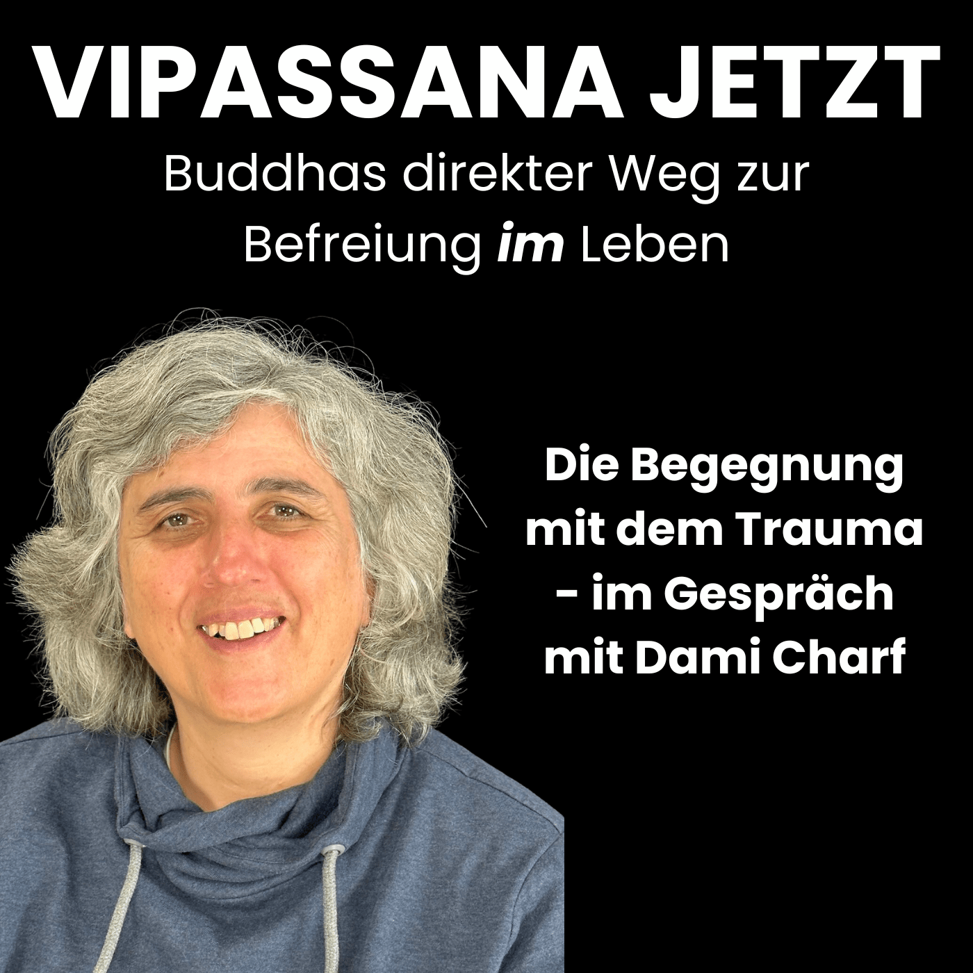 Vipassana Jetzt