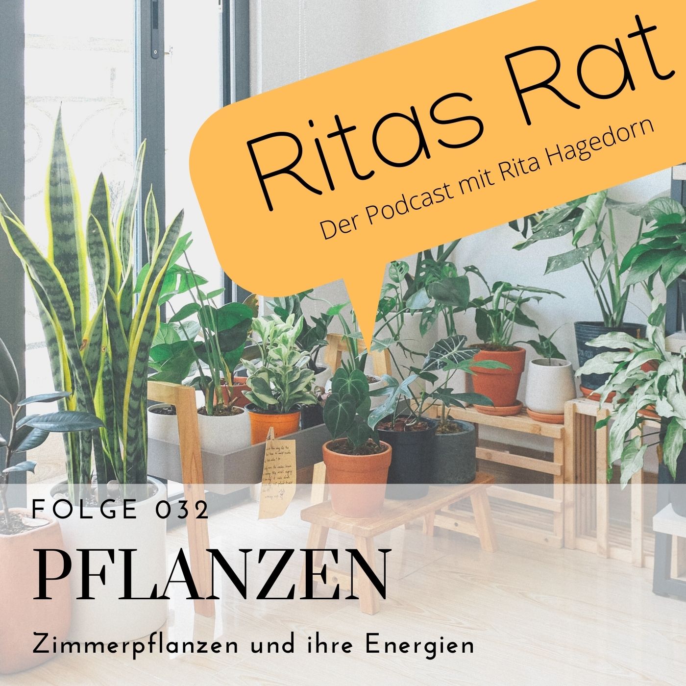 Ritas Rat