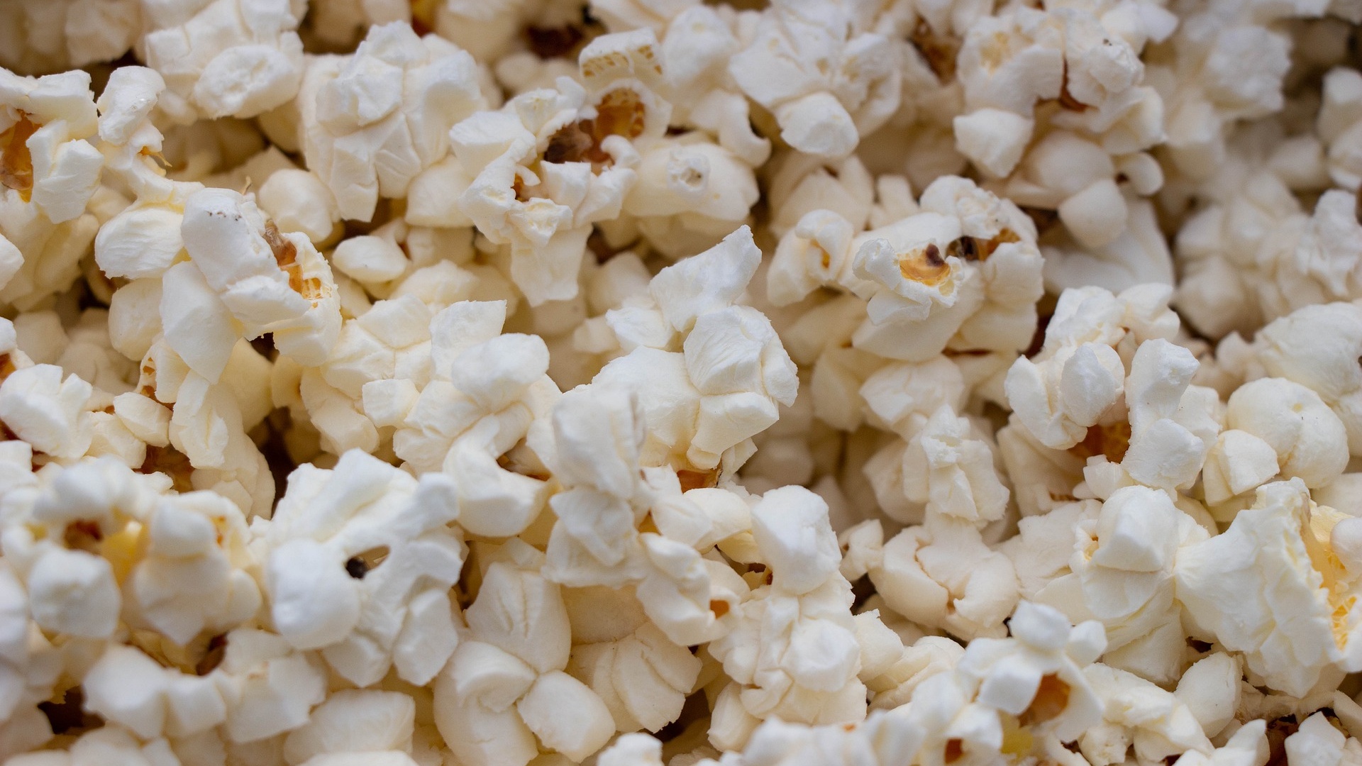 Die Flimmerkiste - alles über Kino, Serien & TV