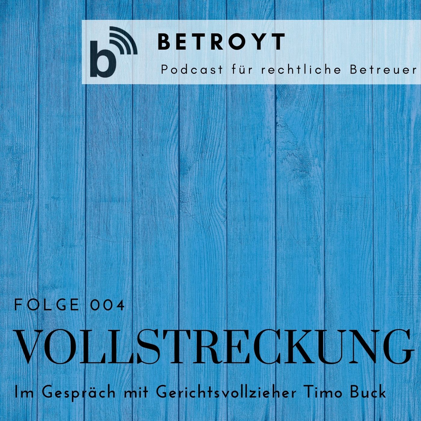 Folge 004 - Interview mit Gerichtsvollzieher Timo Buck - Teil I