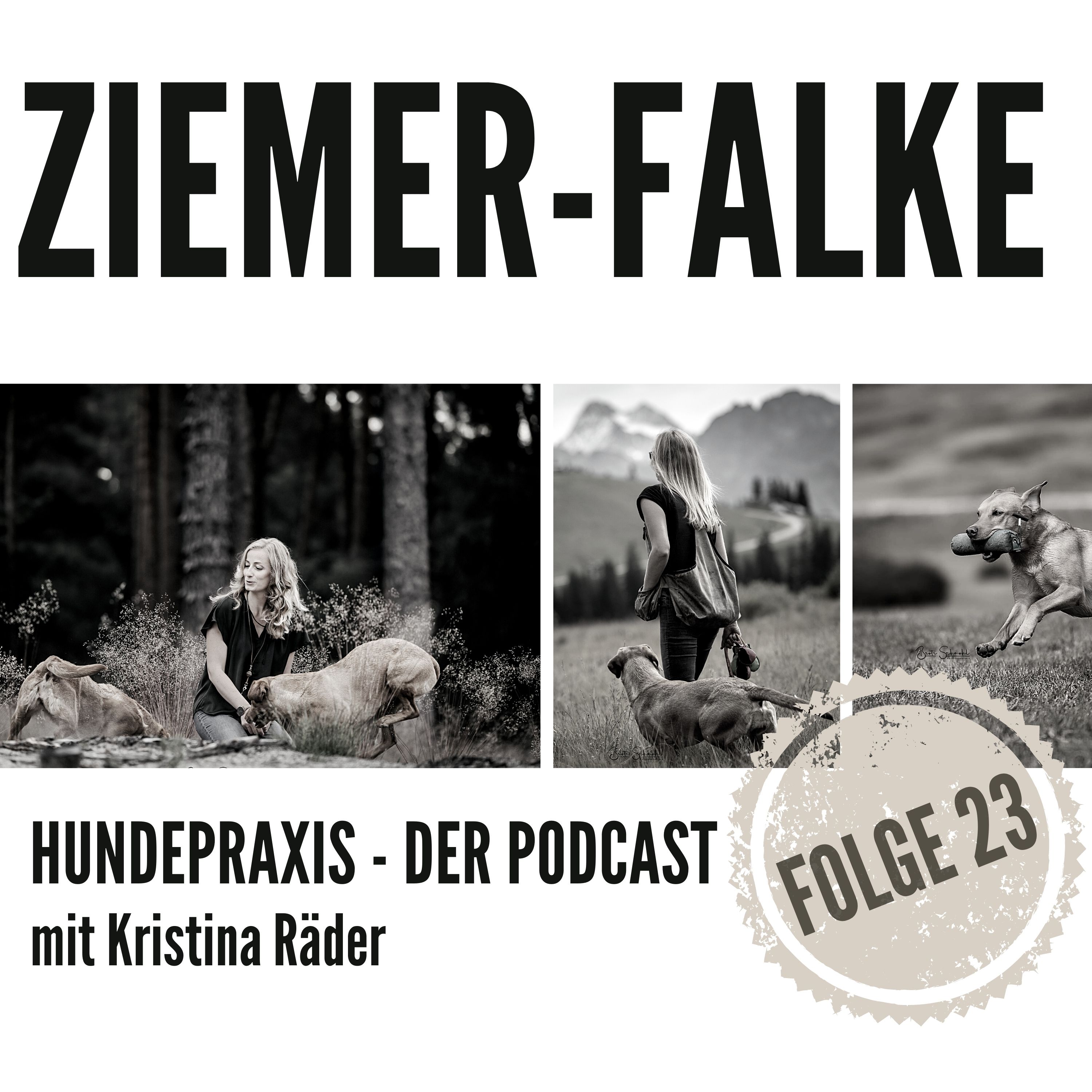 Hundepraxis - der Podcast