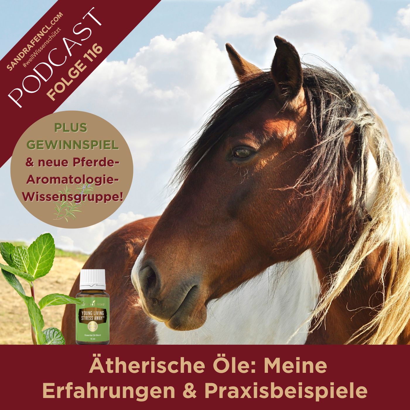 Pferdewissen - ganzheitlich & inspirierend mit Sandra Fencl