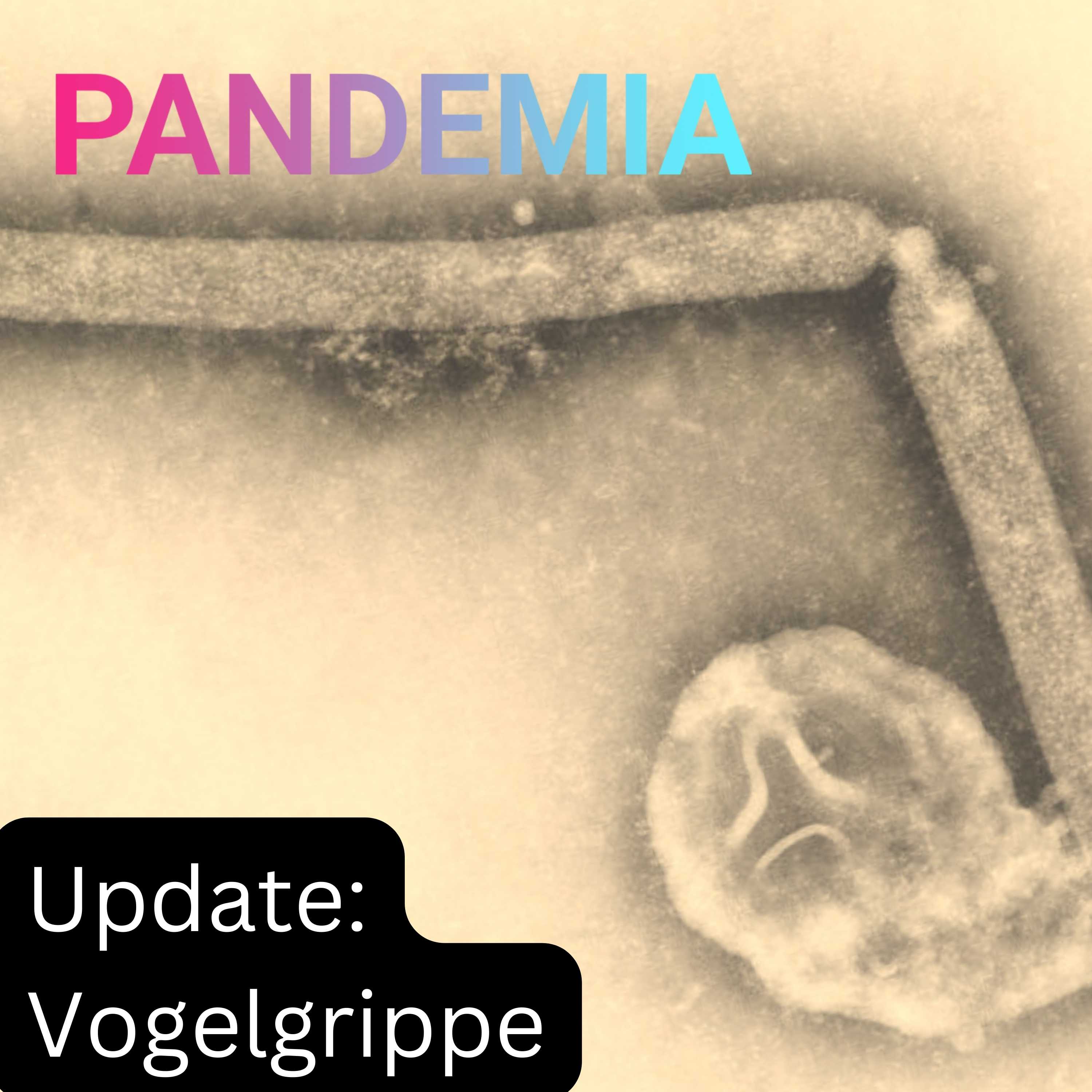Was macht die Vogelgrippe?