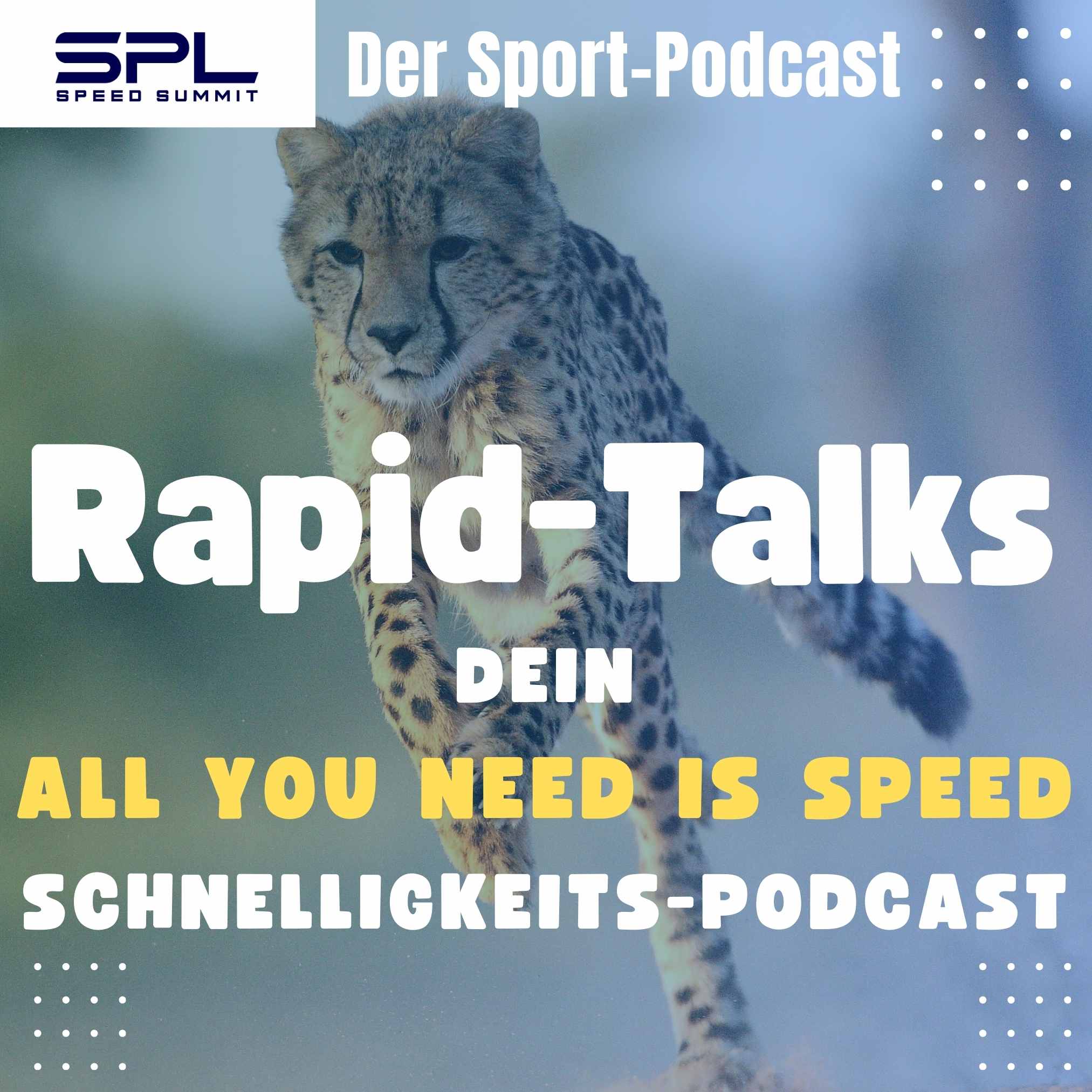 Rapid-Talks \
