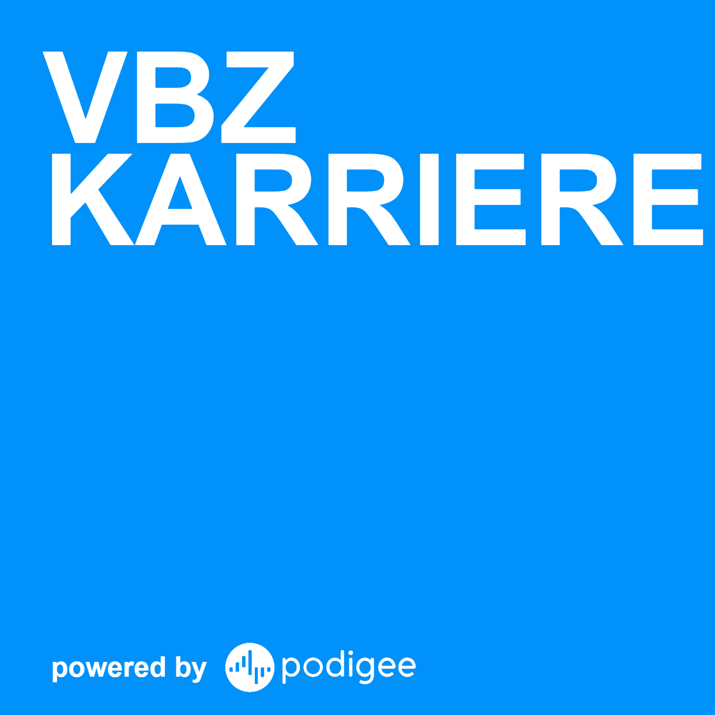 VBZ Karrierekompass
