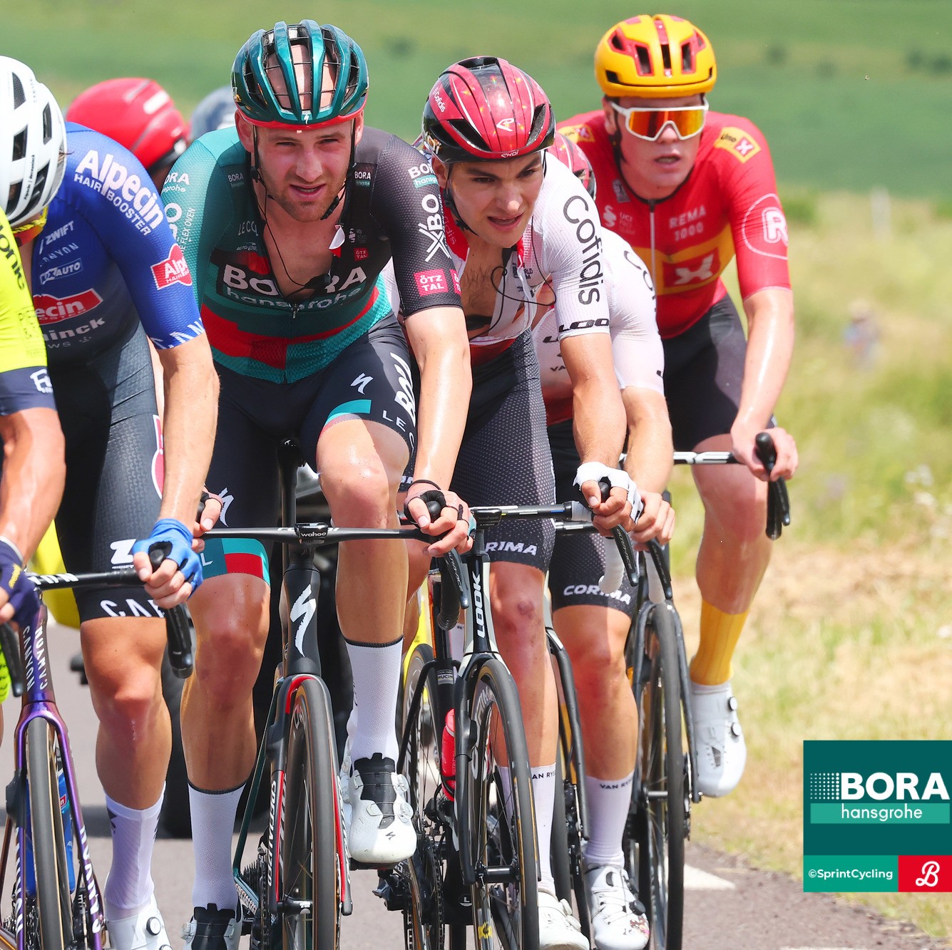 Inside Red Bull-BORA-hansgrohe - Podcast zur Tour de France