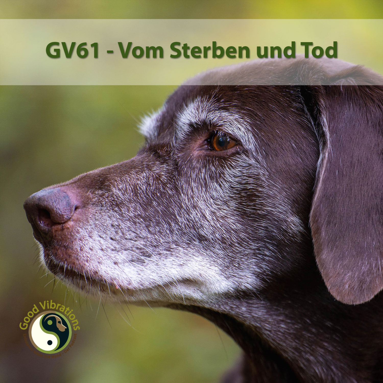 Good Vibrations. Entspannt leben mit Hunden. Der Podcast.