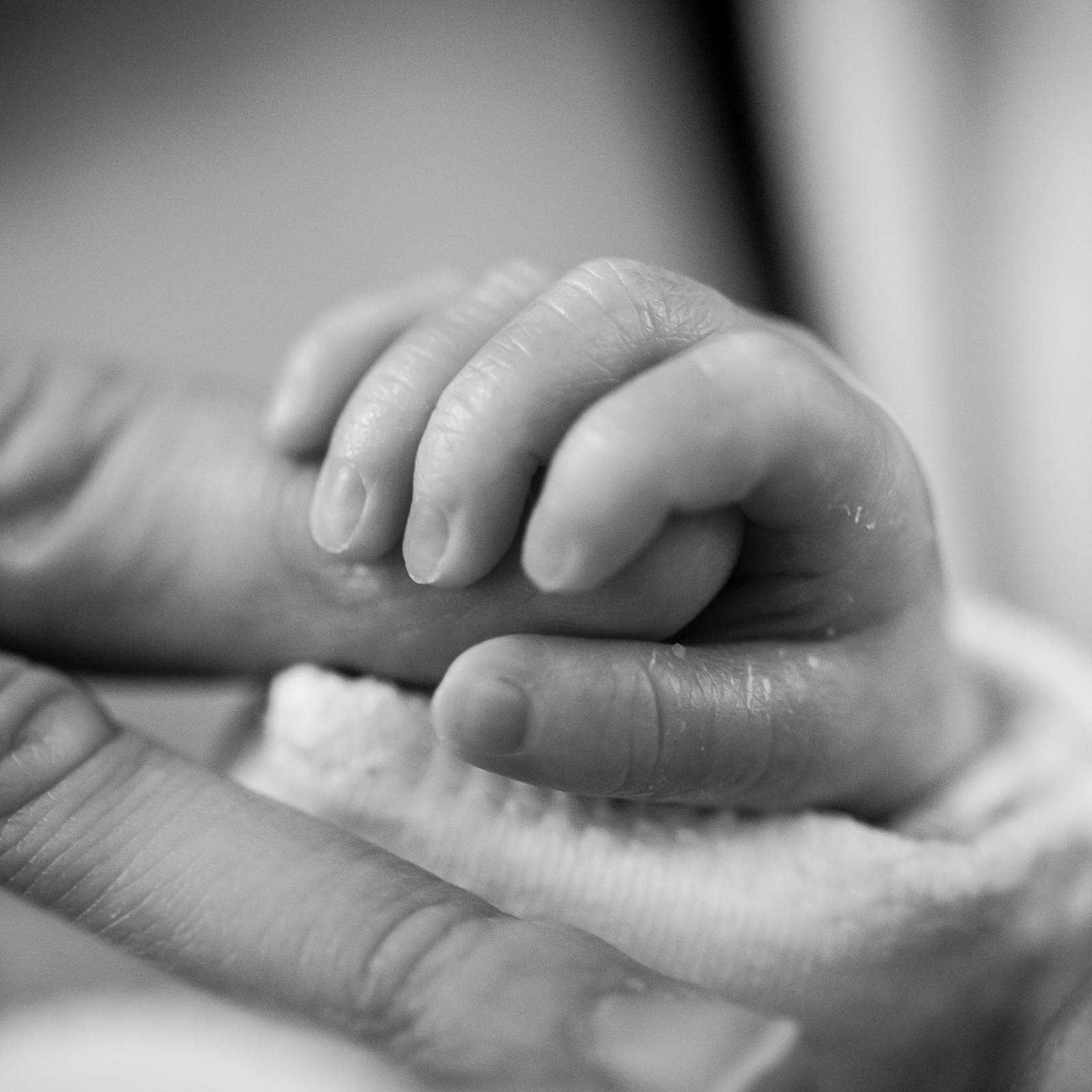 Die verschüttete Quelle des Friedens