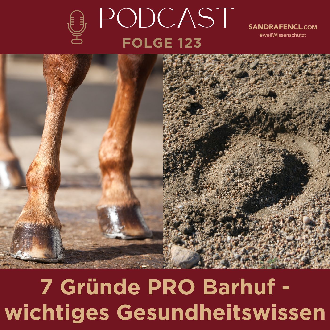 Pferdewissen - ganzheitlich & inspirierend mit Sandra Fencl