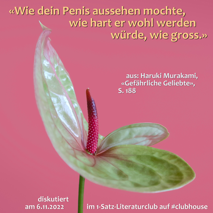 1-Satz-Literaturclub (1SLC)