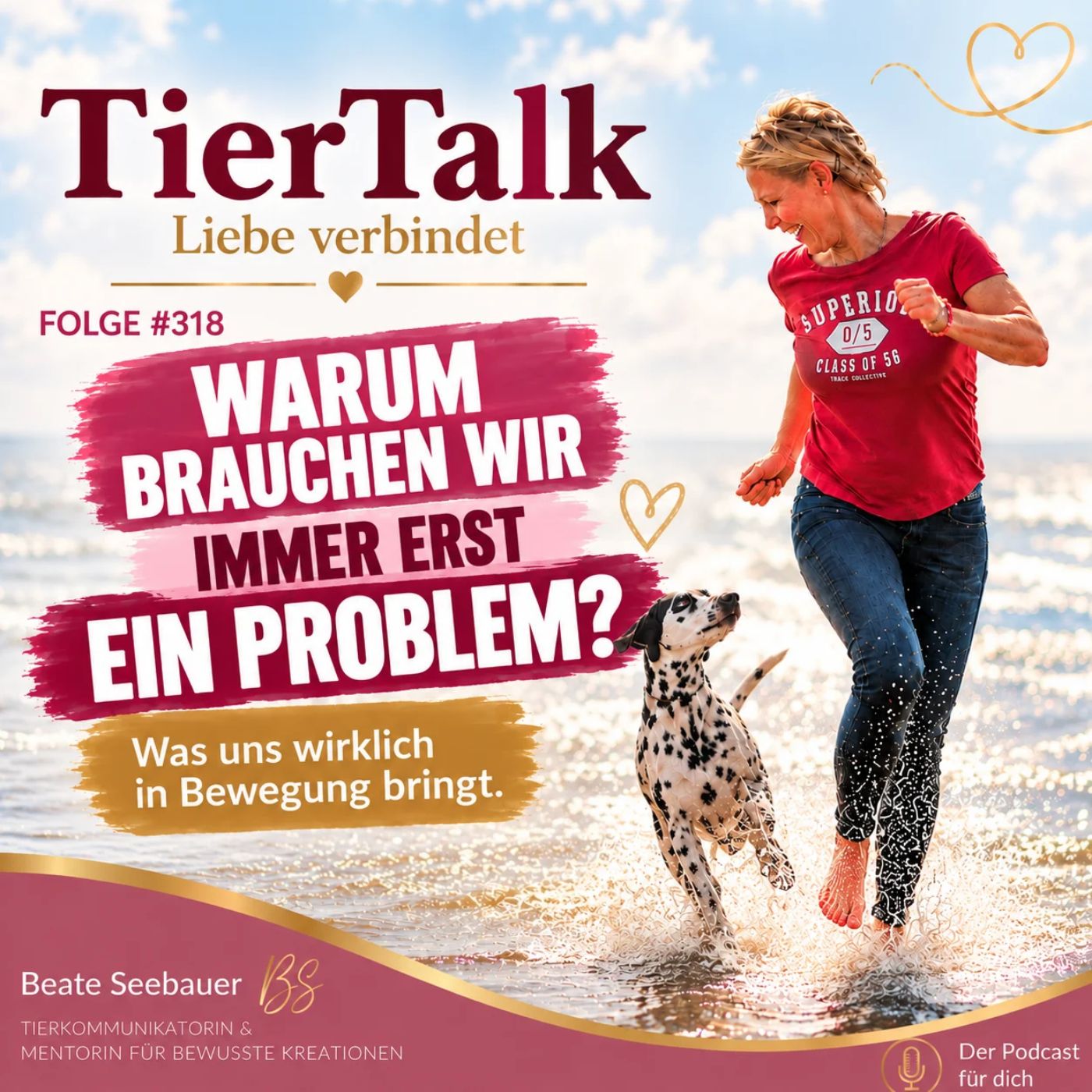 318. Warum brauchen wir immer erst ein Problem episode artwork