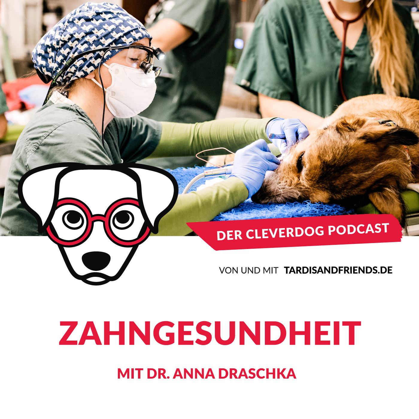 Der Cleverdog Podcast – mehr Wissen rund um den Hund!