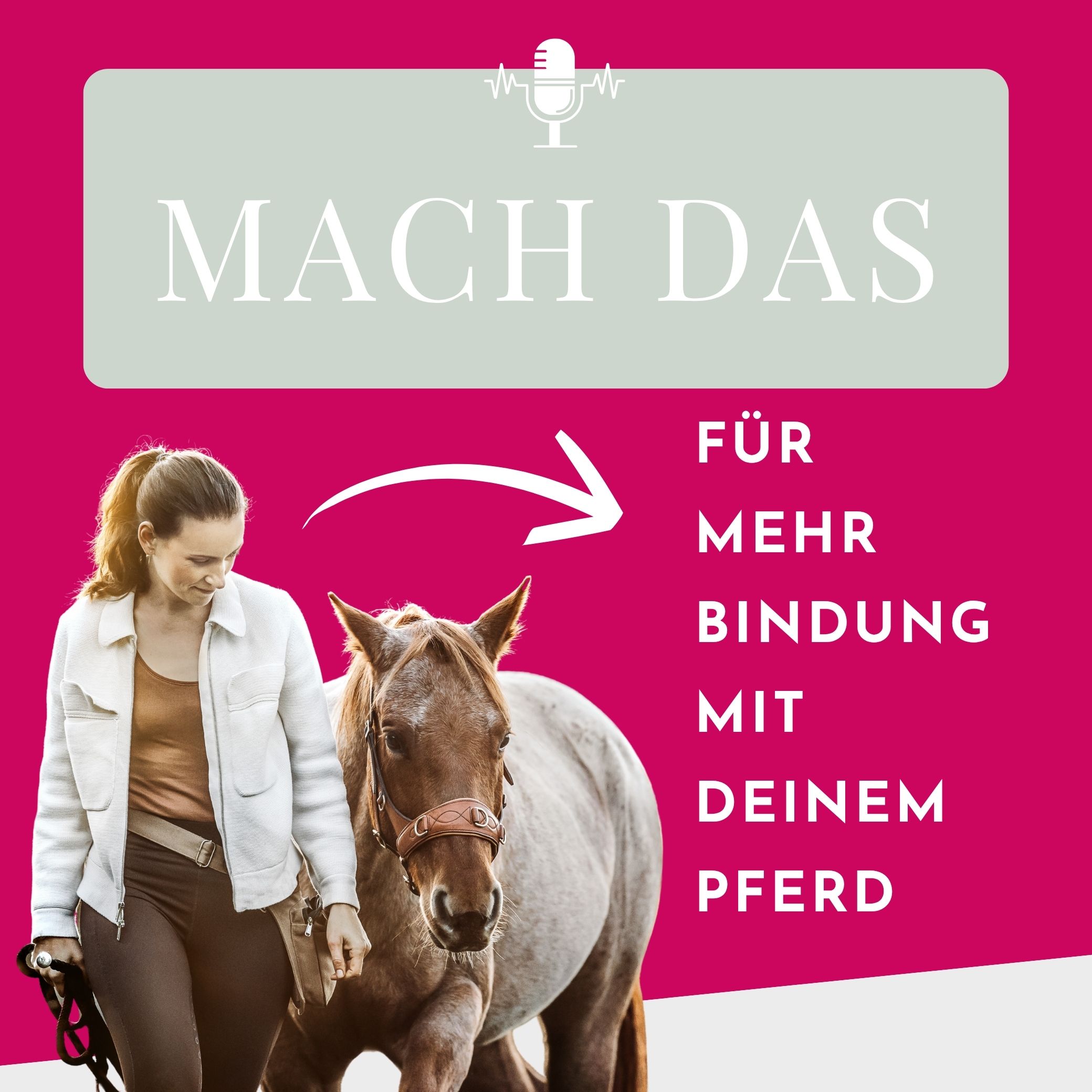 Was, wenn dein Pferd DICH trainiert – und nicht umgekehrt?