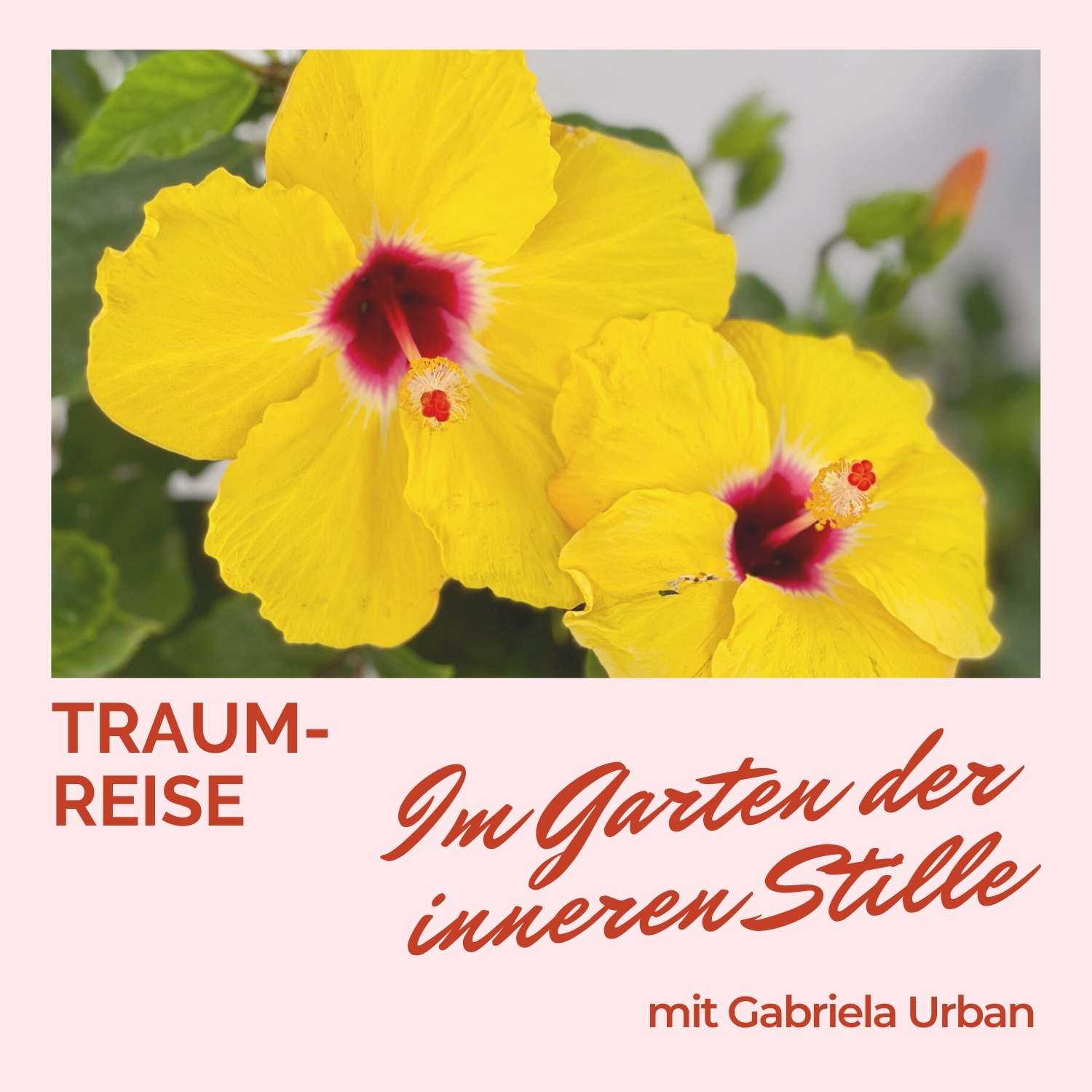 Gabriela Urban – Mentale Gesundheit, Meditationen & Traumreisen