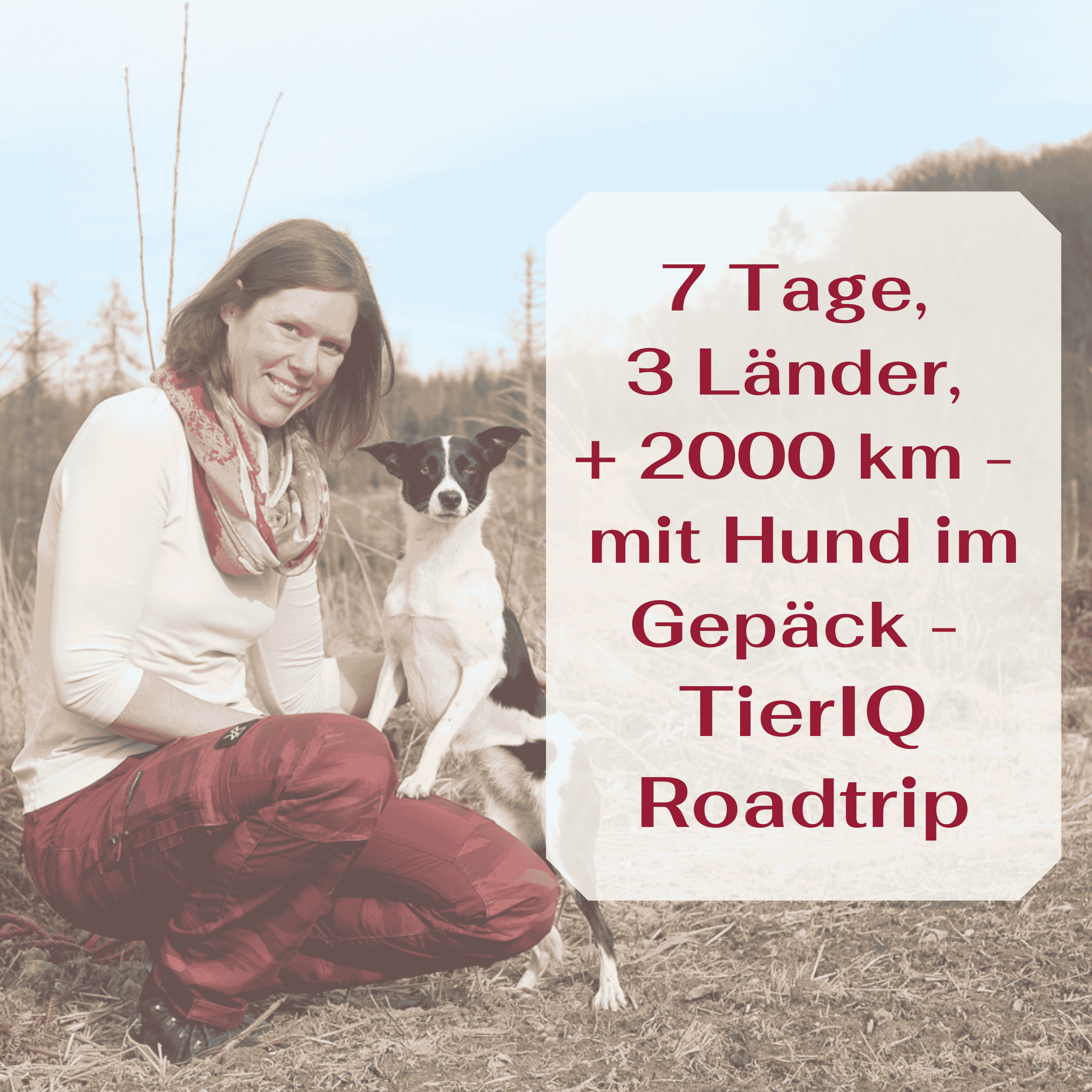 7 Tage, 3 Länder, + 2000 km - mit Hund im Gepäck - TierIQ Roadtrip episode artwork