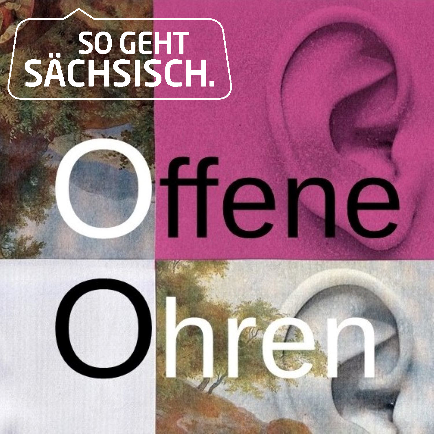 Offene Ohren - ein Podcast über Musik und Perspektiven