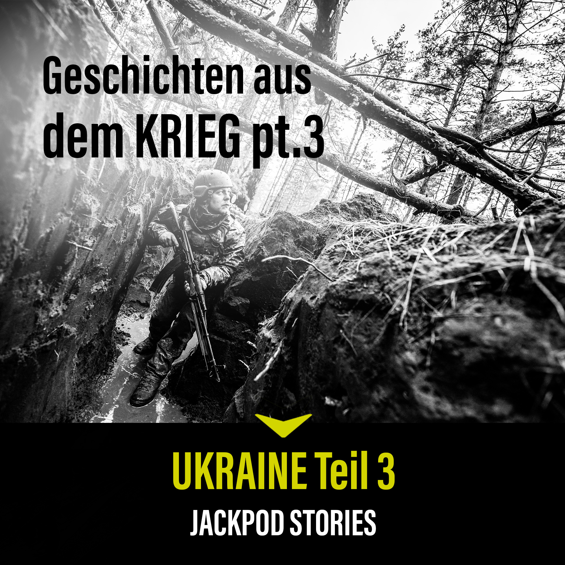 #4 Ukraine Teil 3: Geschichten aus dem Krieg episode artwork