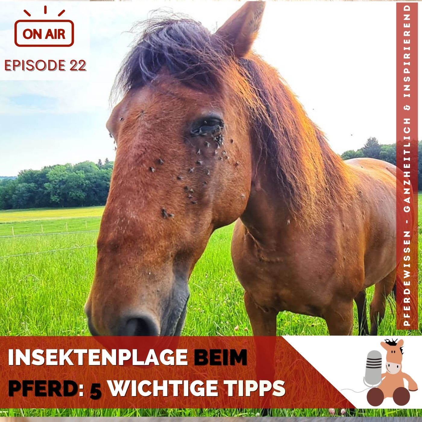 Pferdewissen - ganzheitlich & inspirierend mit Sandra Fencl