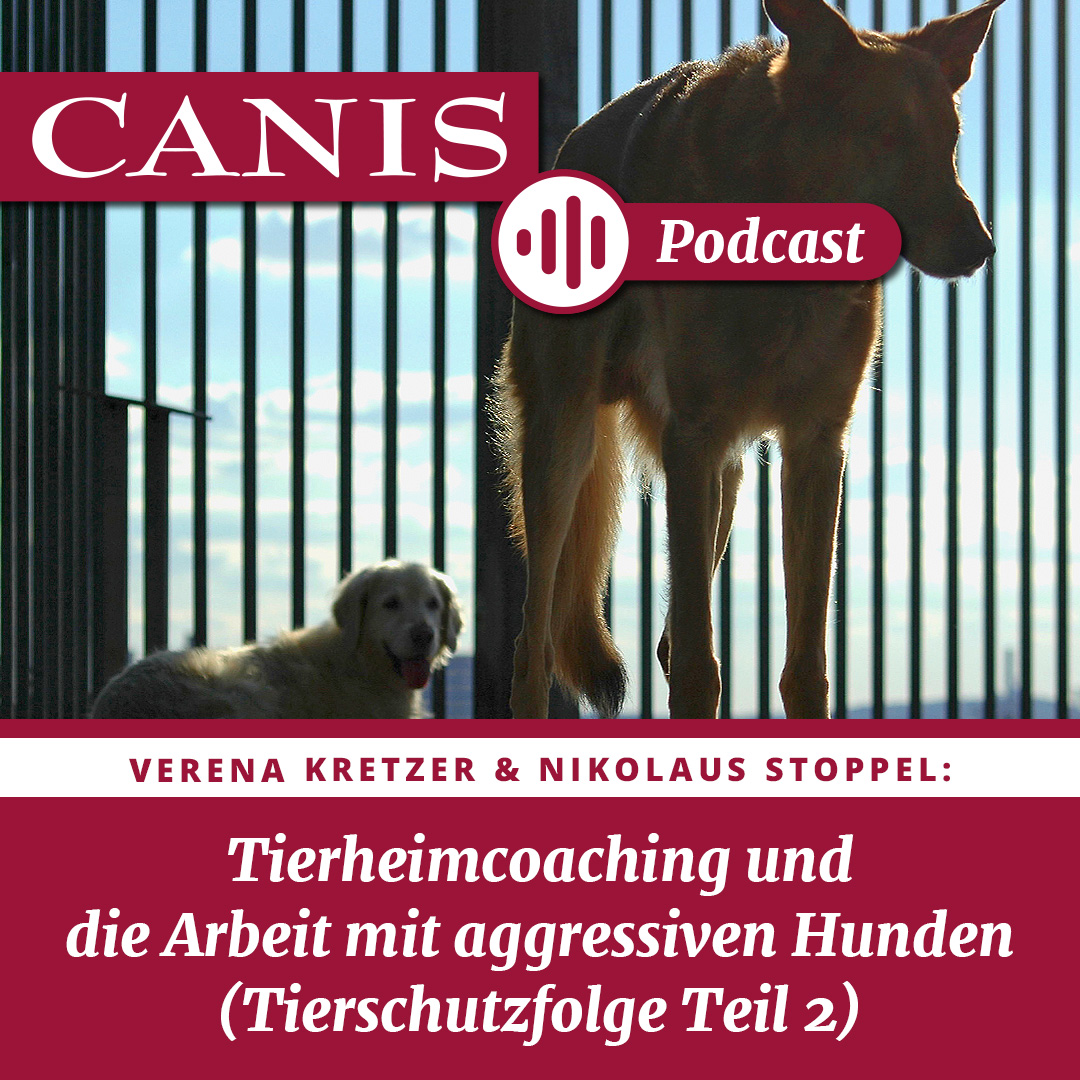Der CANIS-Podcast – Hundeexpert:innen ausgefragt