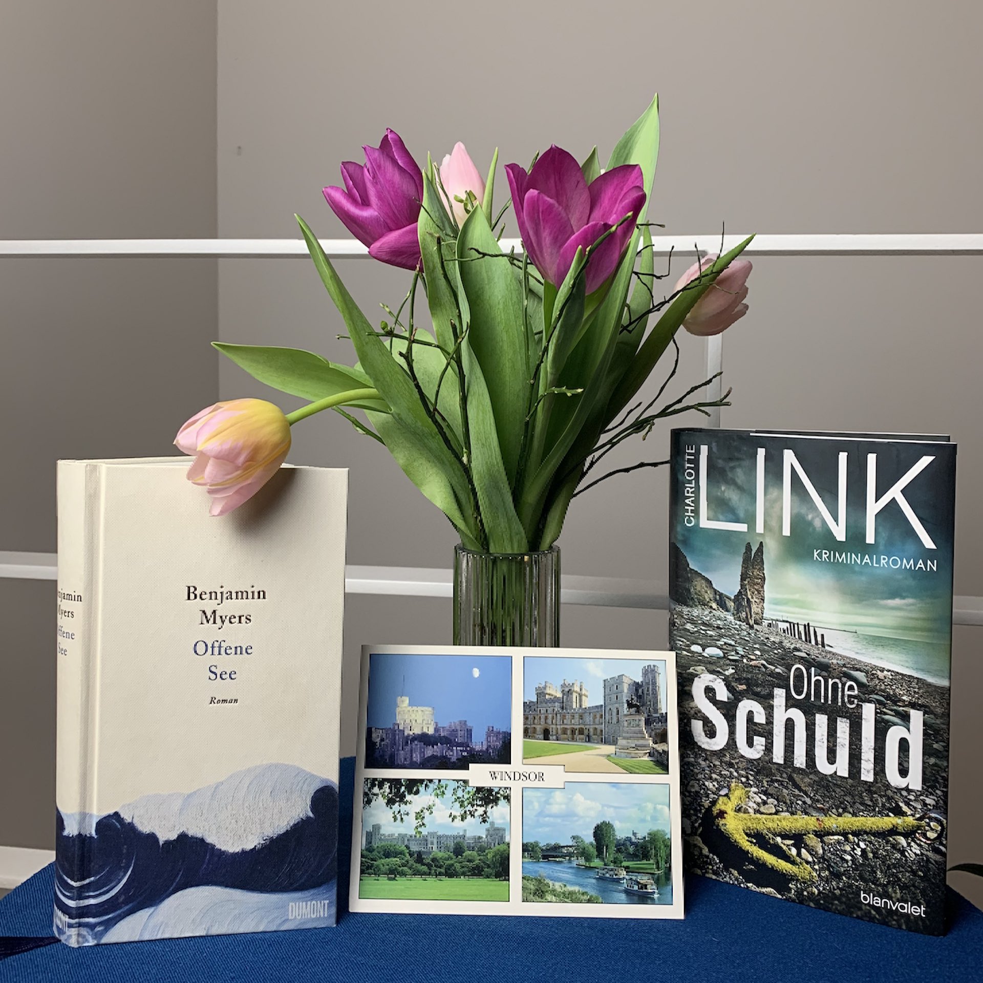 Katjas und Inas Buchgestöber