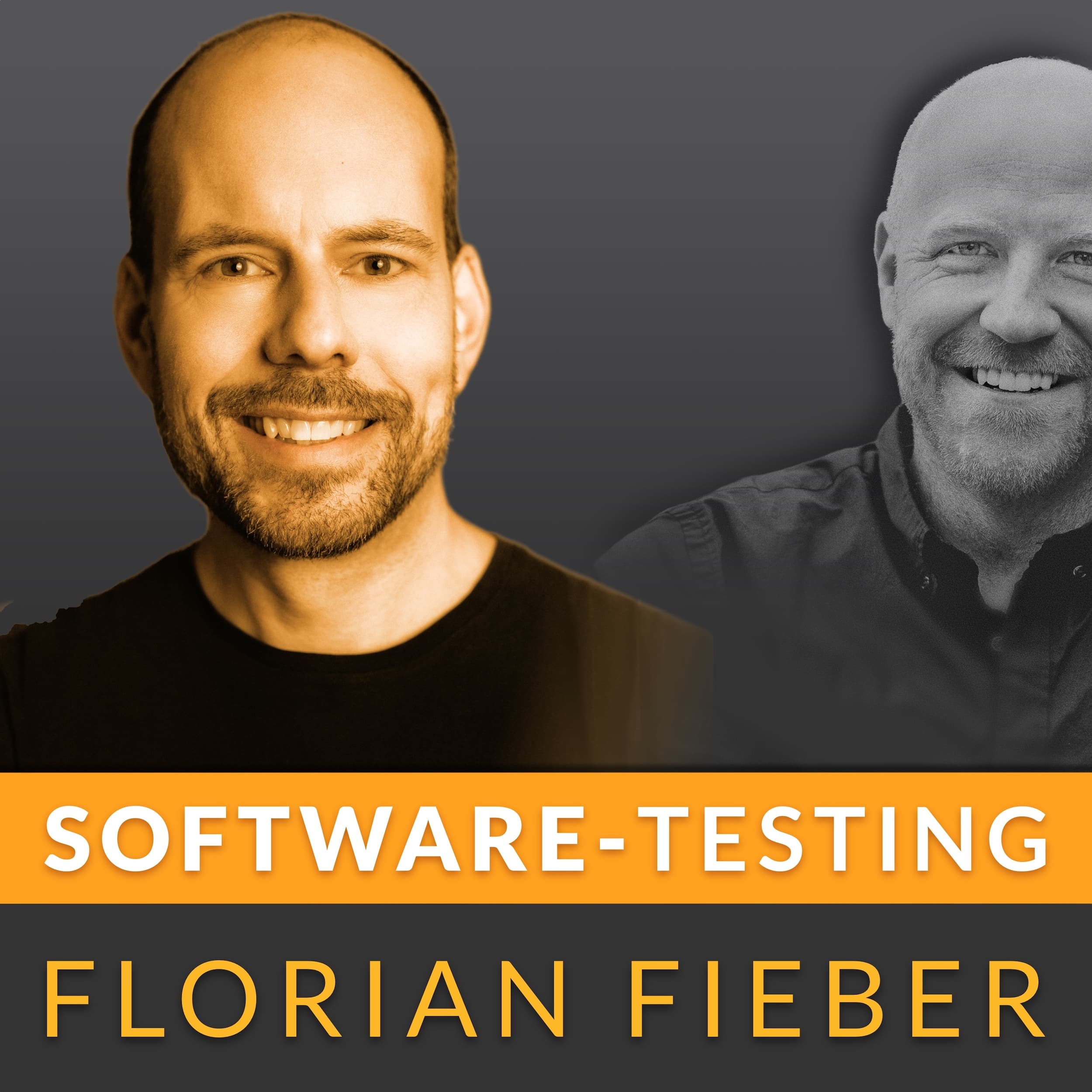 Software Testing - Qualität, Testautomatisierung & Agilität