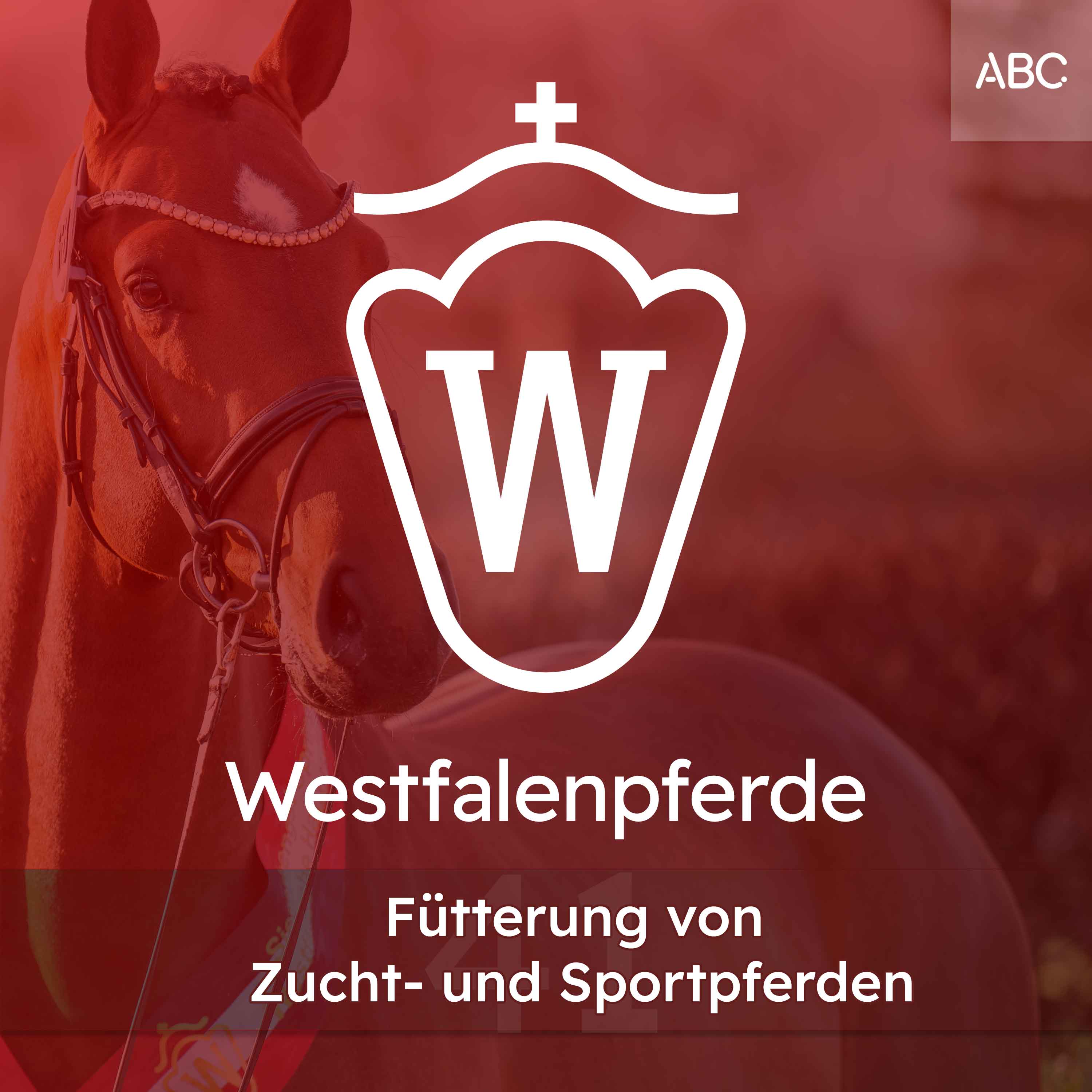 Westfalenpferde - Der Podcast