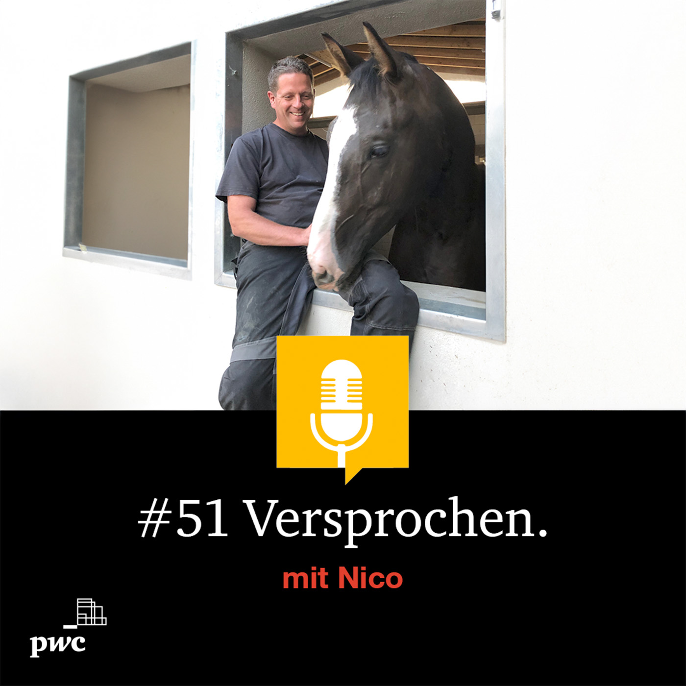 #51 Versprochen. mit Nico: Warum lohnt sich die Verknüpfung von Data und AI?