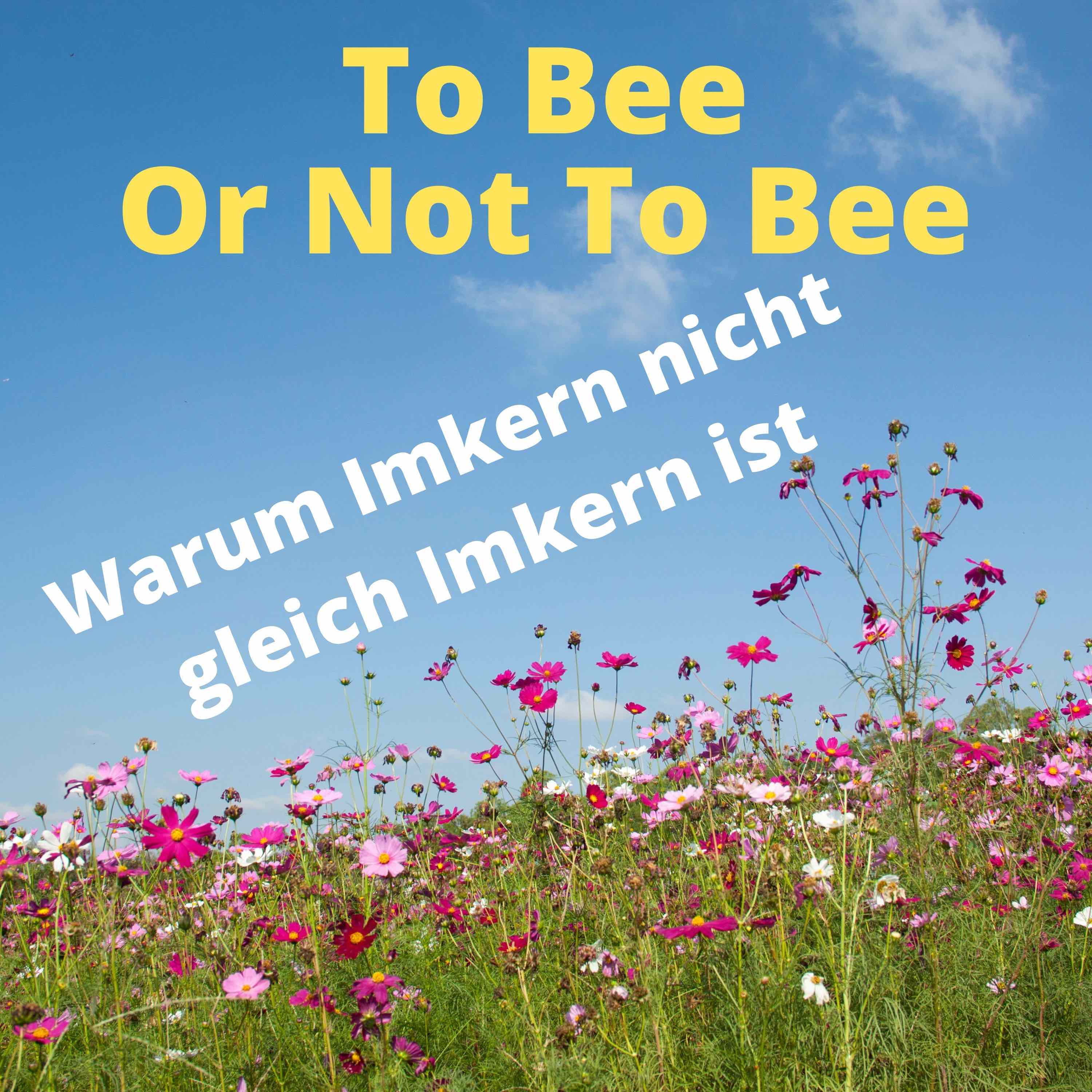 To Bee Or Not To Bee #1