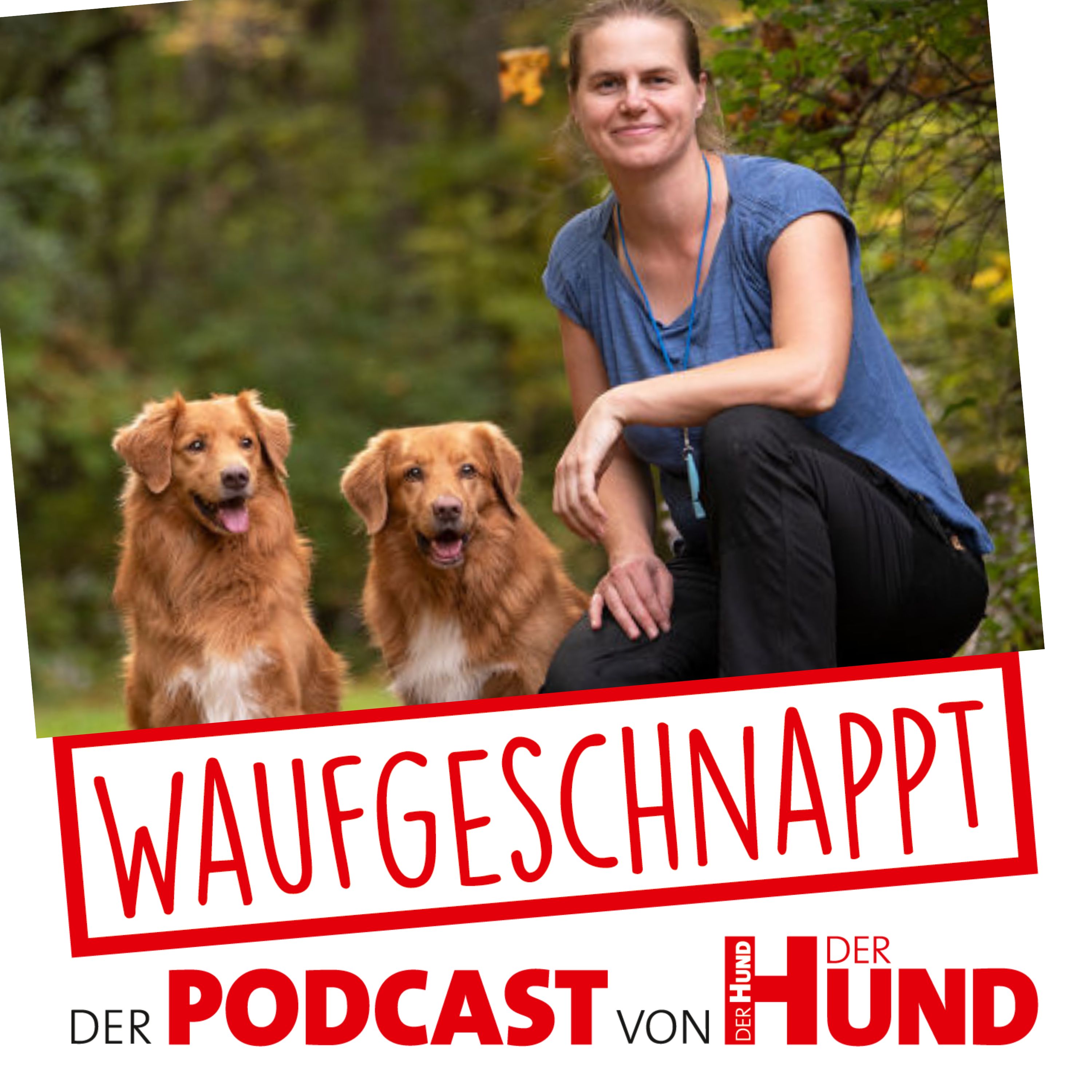 Waufgeschnappt - der Podcast von DER HUND