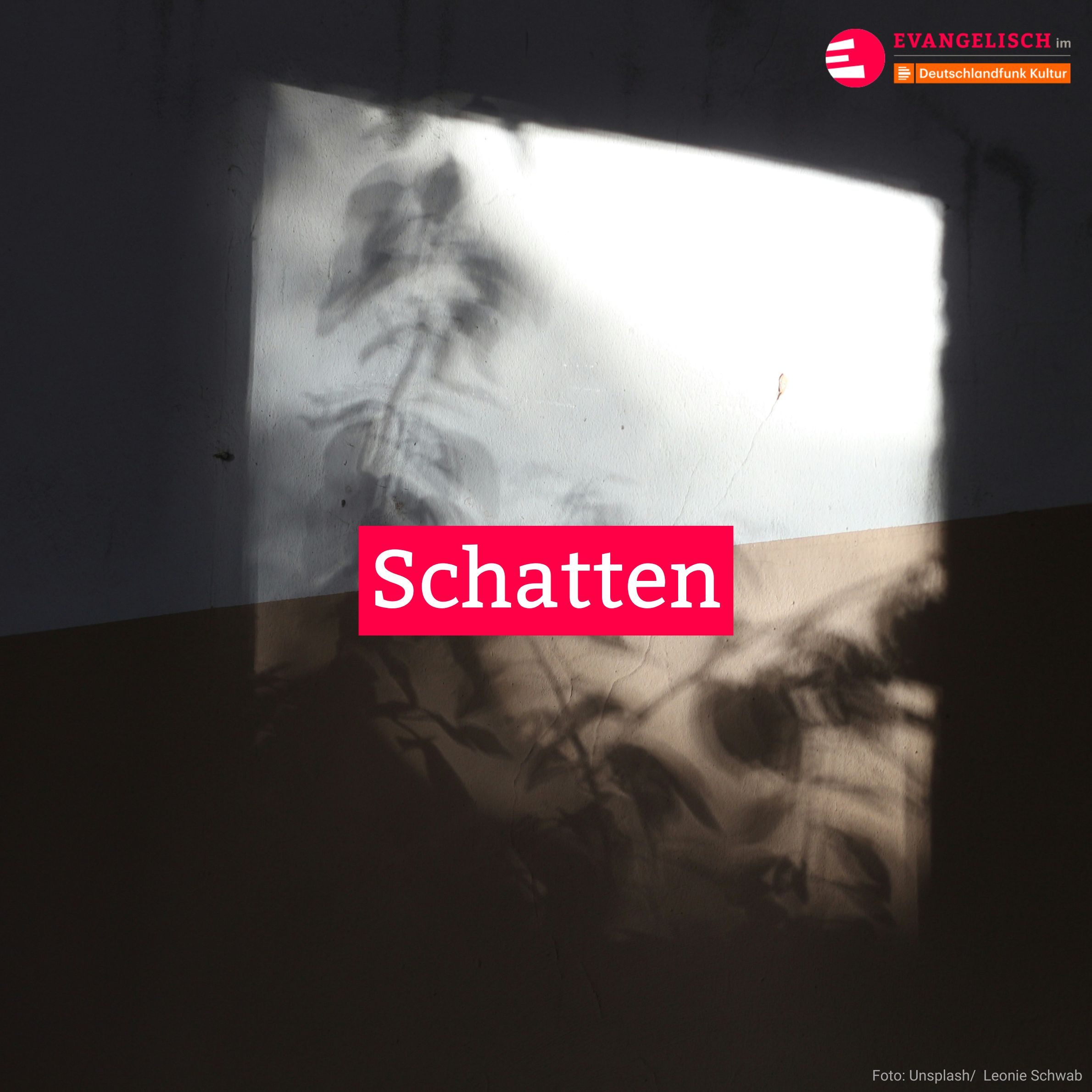 Schatten