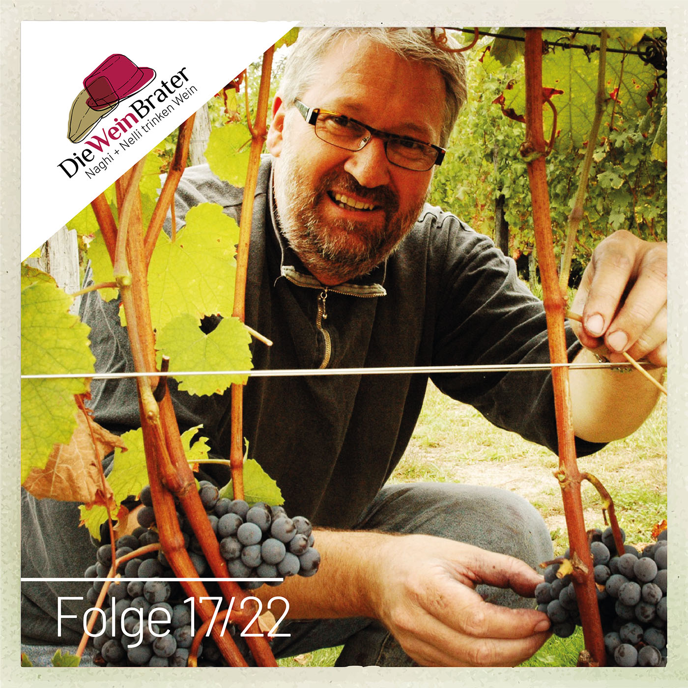 Die Weinbrater - der Schweizer Wein-Podcast