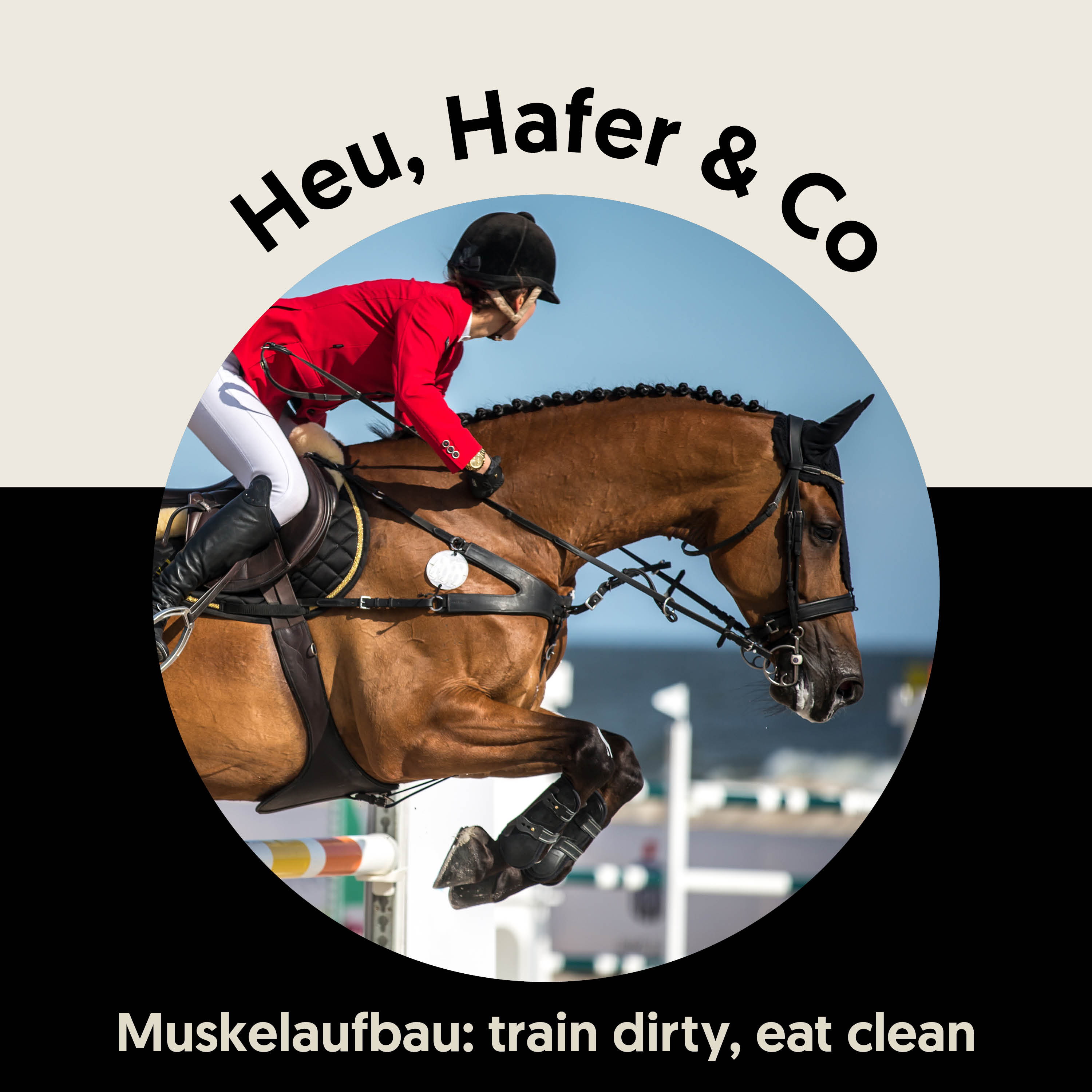 Heu, Hafer & Co: Der Pferdefutter-Podcast
