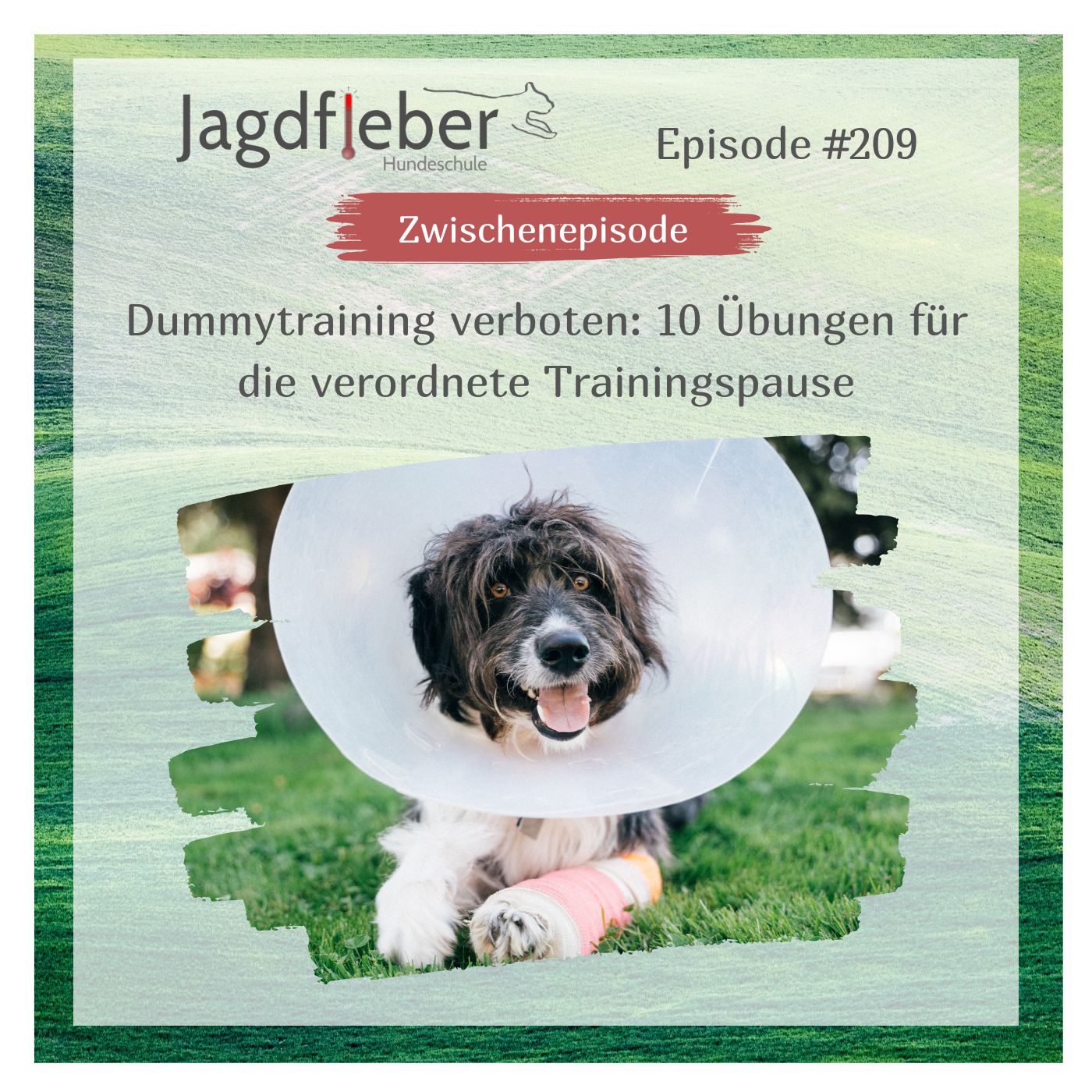 P209: Dummytraining verboten: 10 Übungen für die verordnete Trainingspause episode artwork
