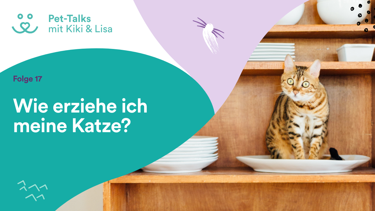 Pet-Talks mit Kiki & Lisa - der Hunde-Podcast von DeineTierwelt
