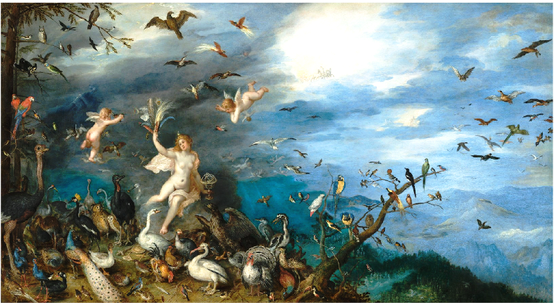 Episode 11 -  Brueghel, Valentinsgrüße aus der Luft episode artwork