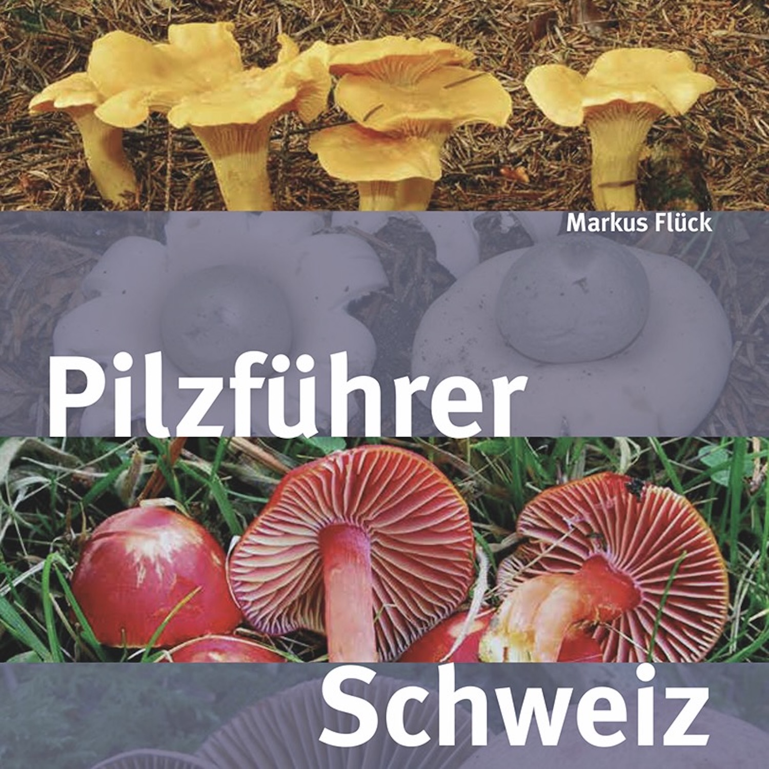 Draussentester – Das Magazin für Entdecker und Neugierige
